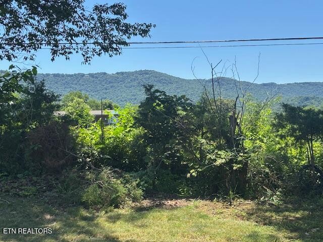 194 Patton Lane Property Photo 26