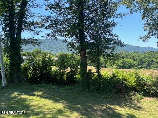 194 Patton Lane Property Photo 28