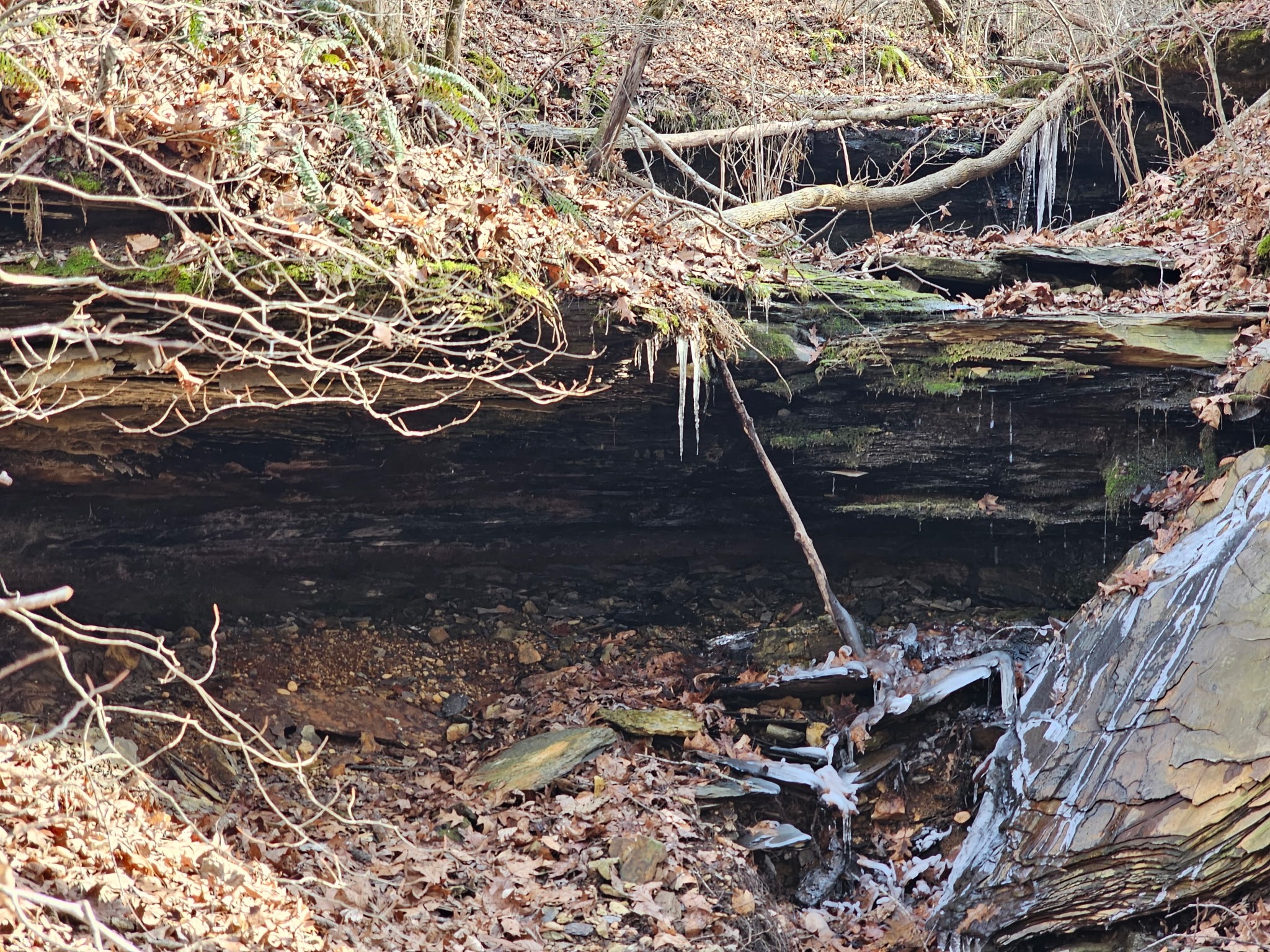 0 Davis Hollow Rd Property Photo 1