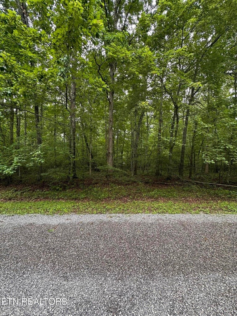 935 Veho Cir Property Photo 6