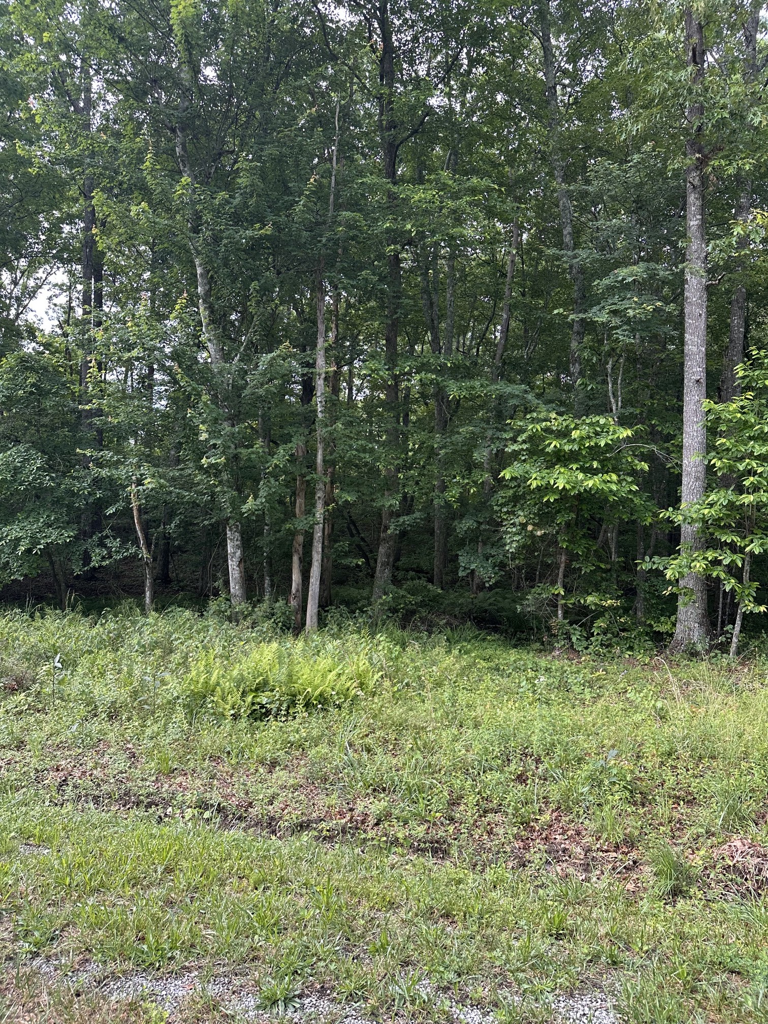 3031 Shawnee Rd Property Photo 1