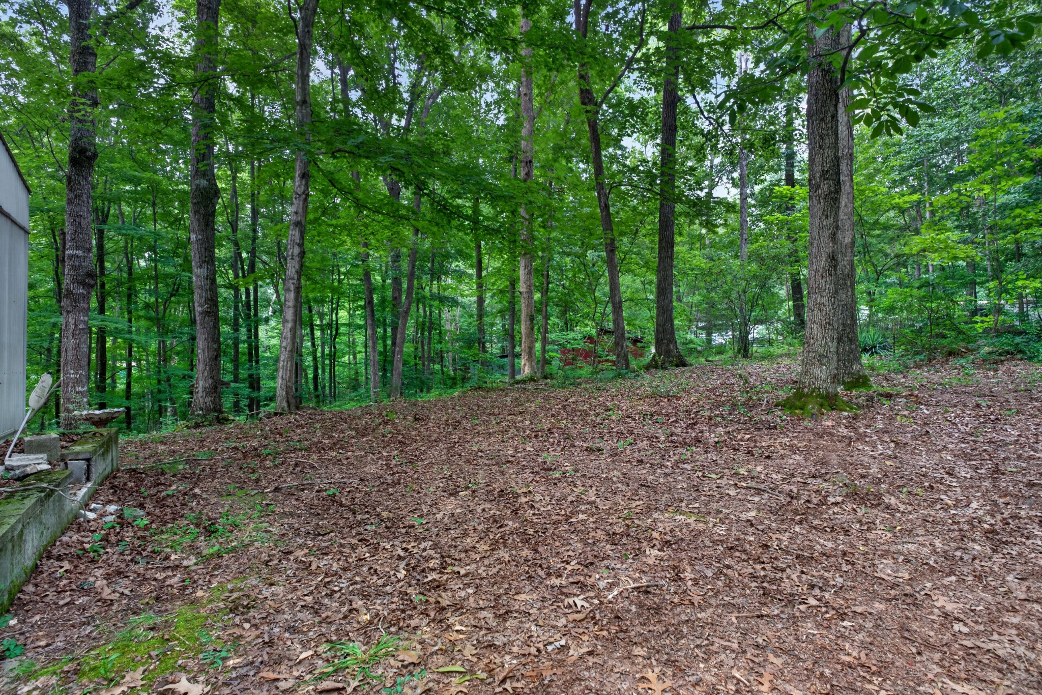 360 Floyd Dr Property Photo 27