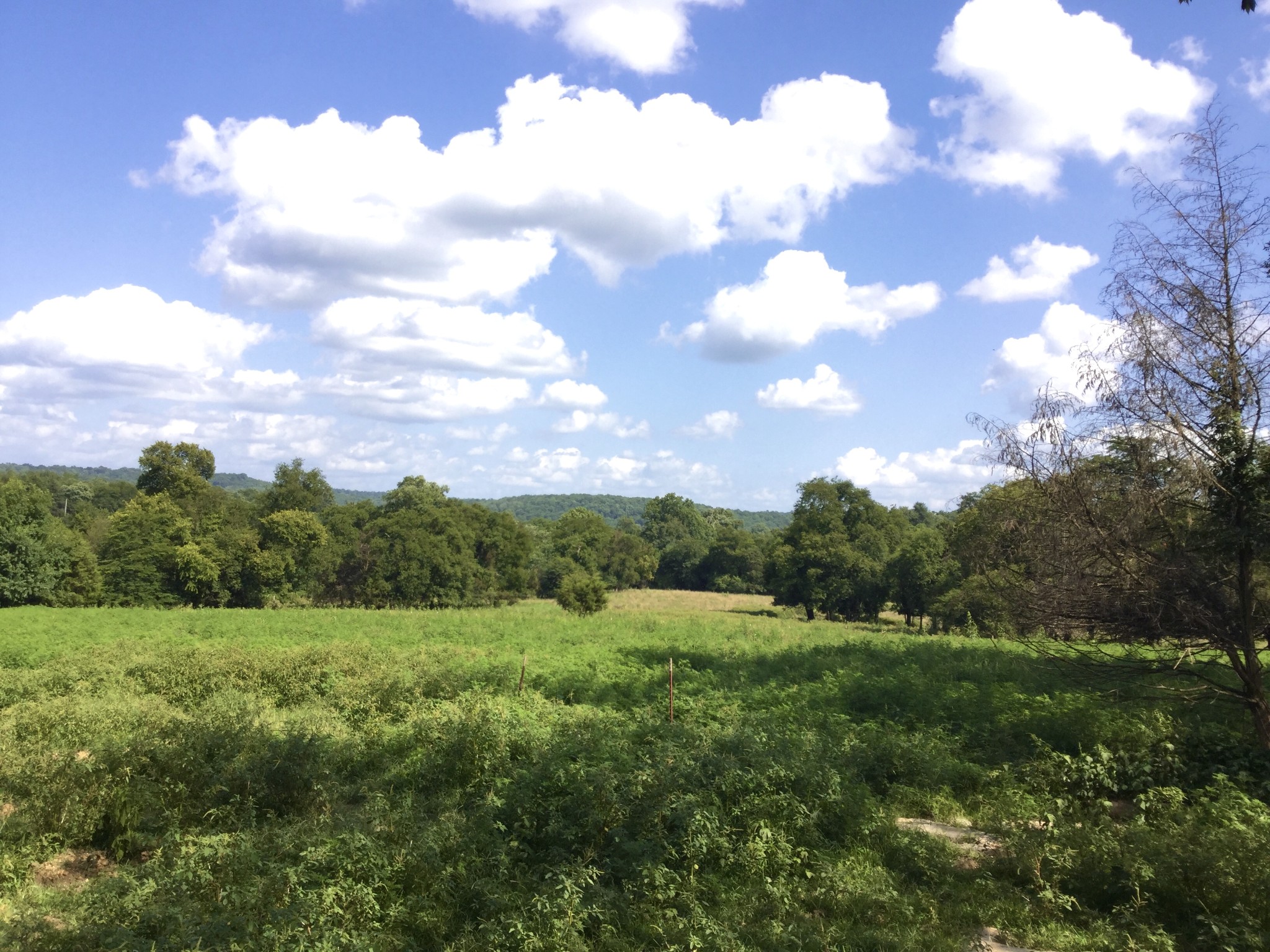328 Wabash Road Property Photo 1