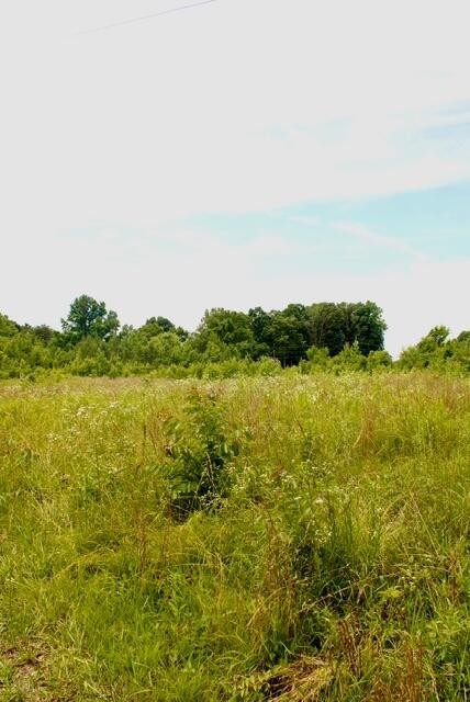 482 Friendship Lane Property Photo 1