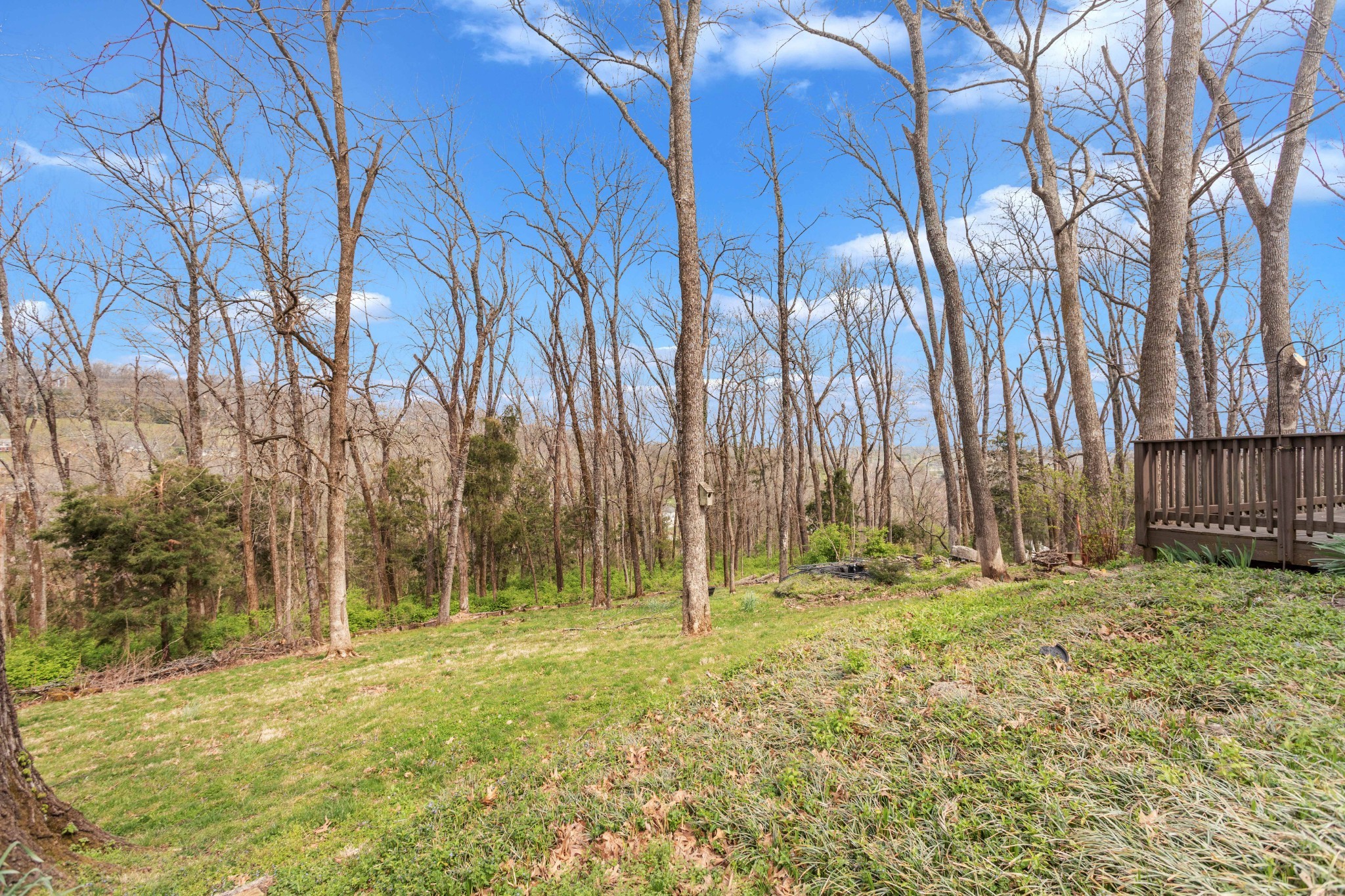877 Hillhaven Ct Property Photo 10