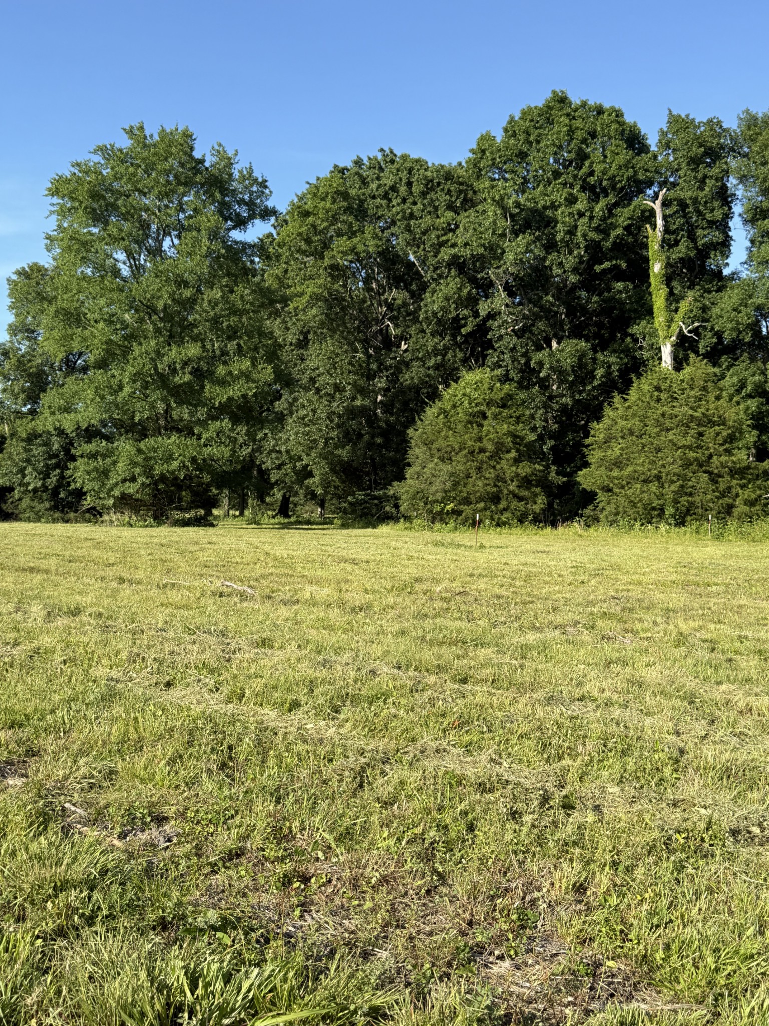 1988 Fayetteville Hwy Property Photo 3