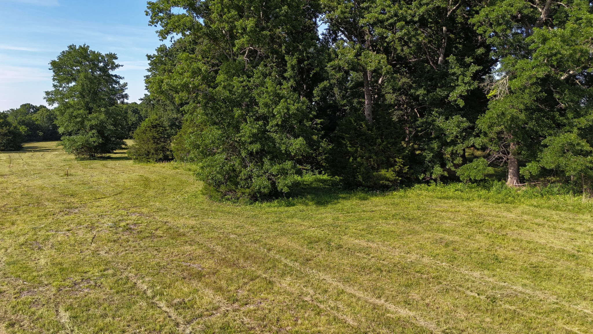 1988 Fayetteville Hwy Property Photo 21