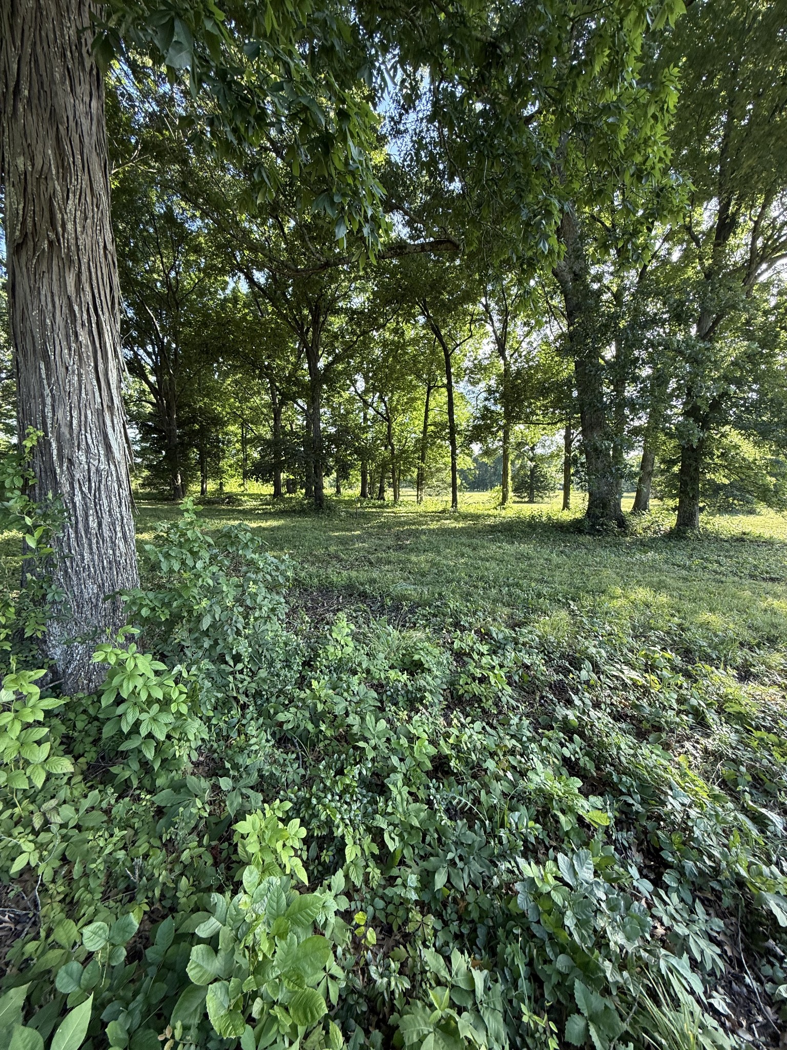1988 Fayetteville Hwy Property Photo 5