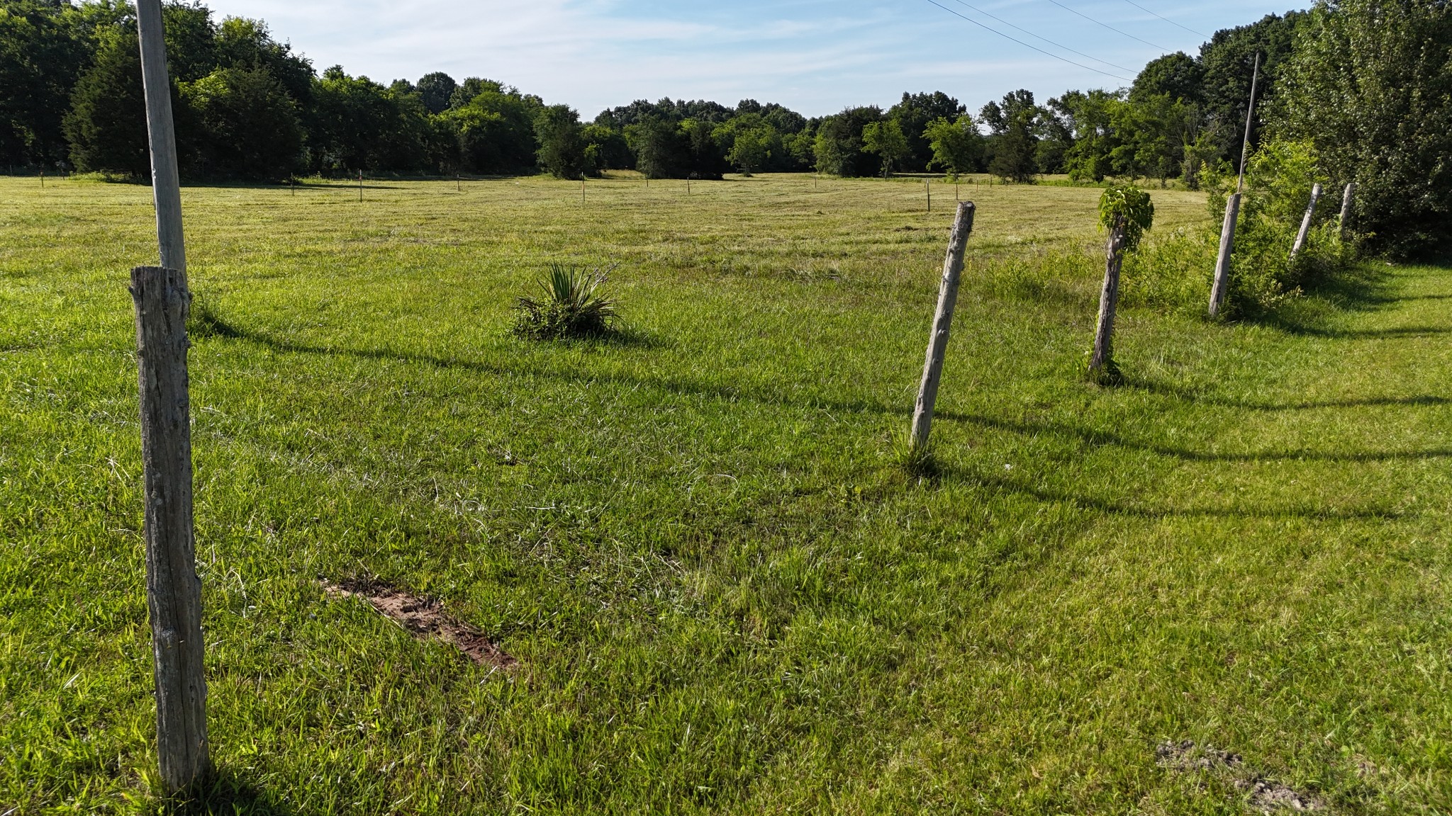 1988 Fayetteville Hwy Property Photo 23
