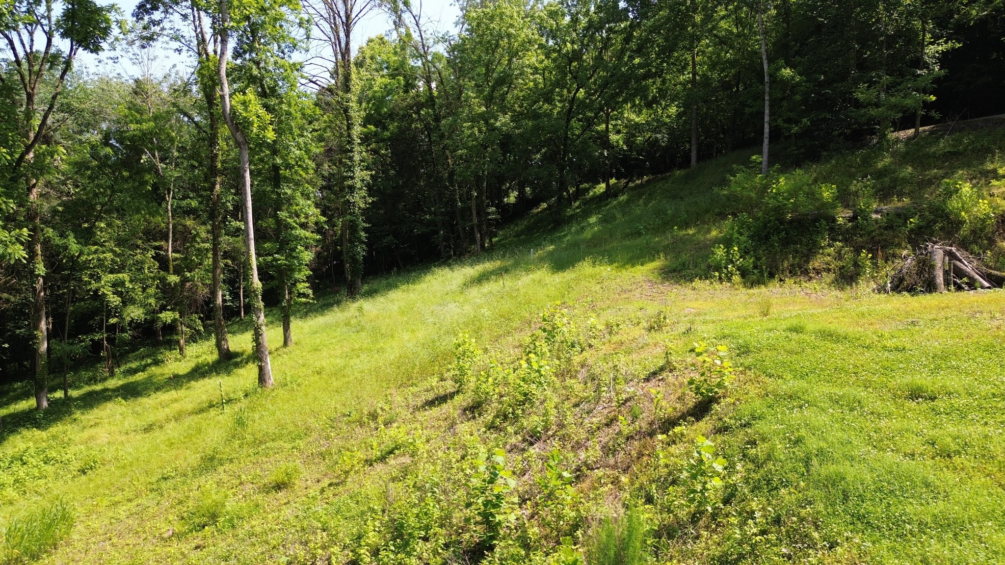 11 Bay Dr Property Photo 11