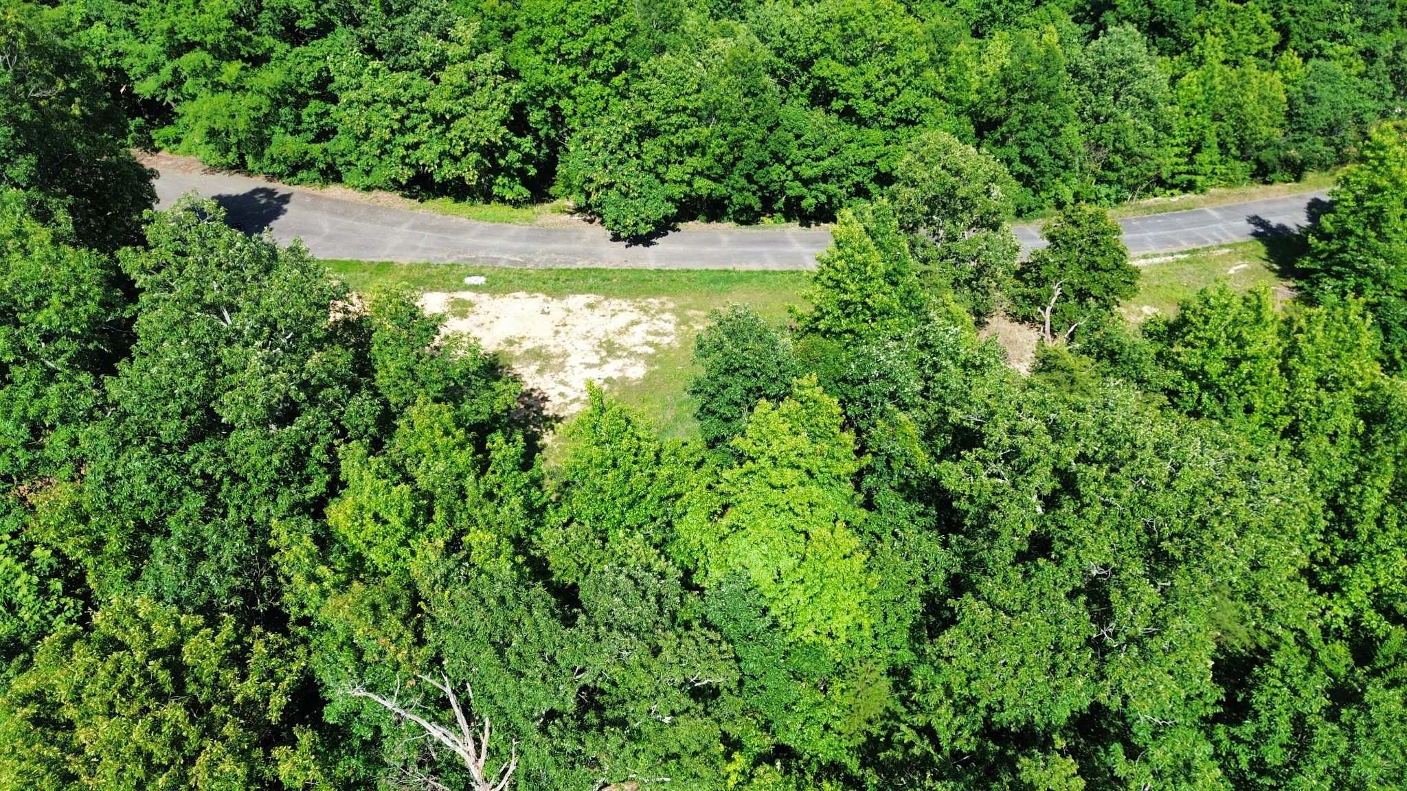 0 Forrest Crossing Property Photo 3