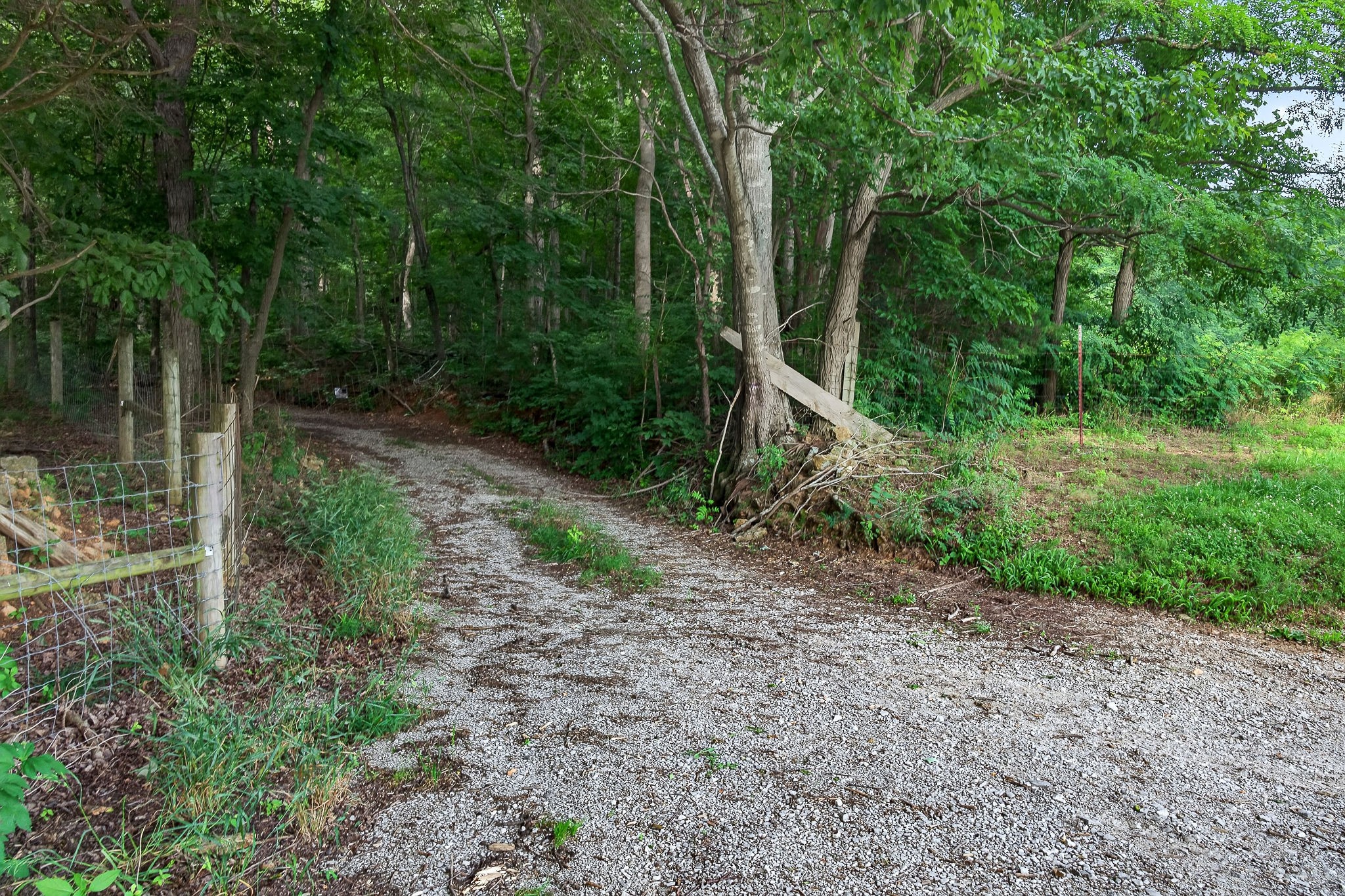 0 Moore Cove Rd Property Photo 19