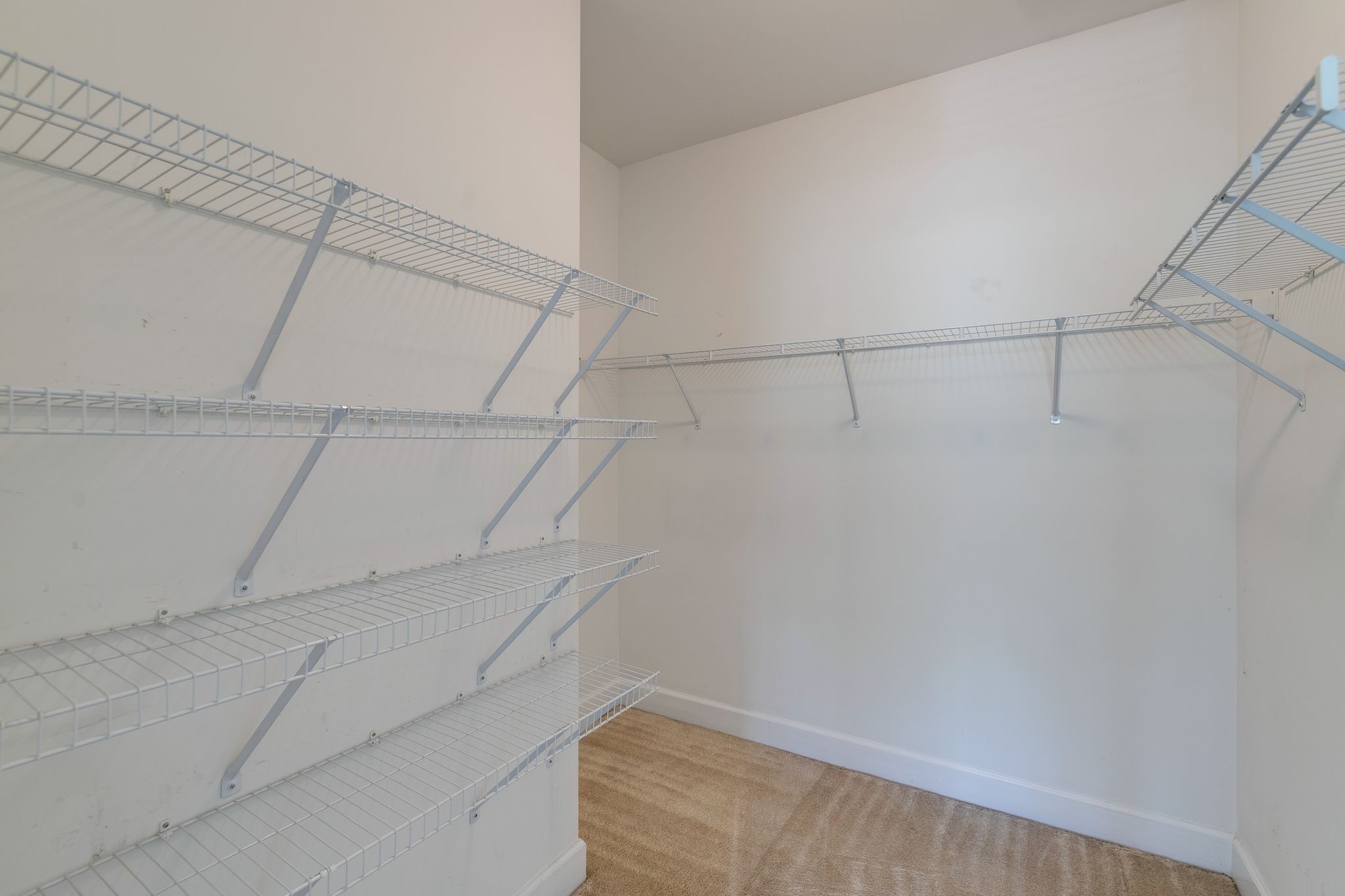 8511 Burnham Ln Property Photo 18