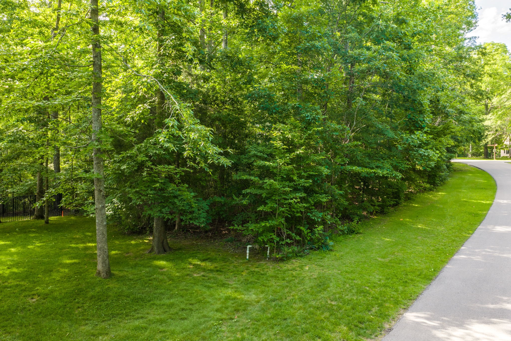 1011 Champion Hills Dr Property Photo 1