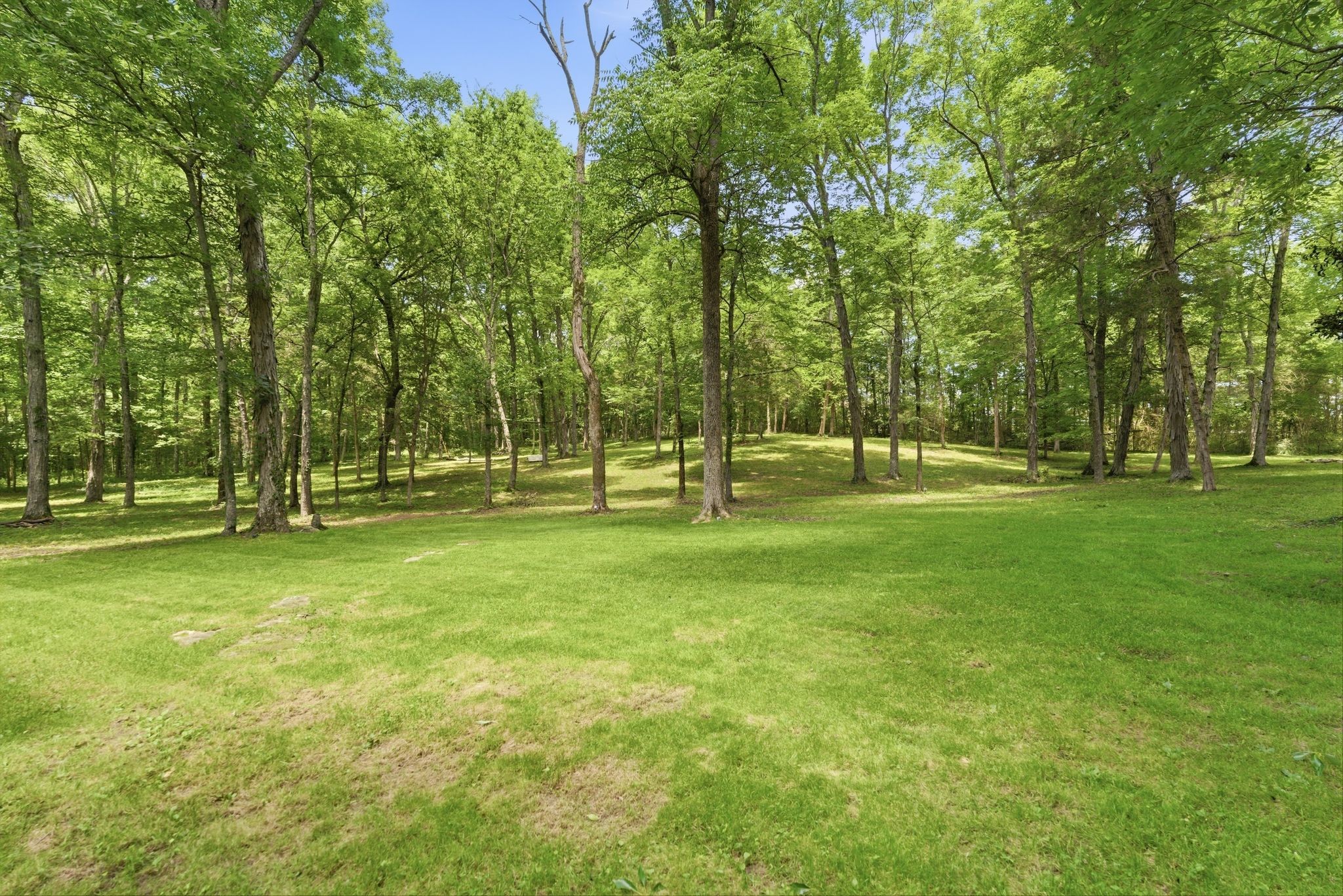 4860 Pyles Rd Property Photo 30