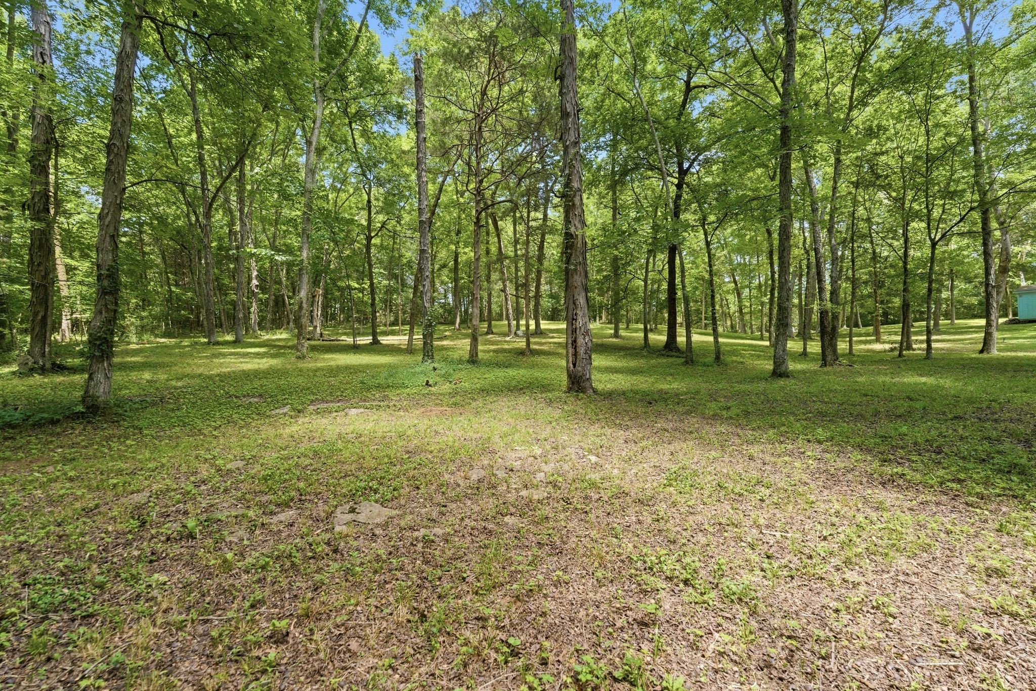 4860 Pyles Rd Property Photo 31