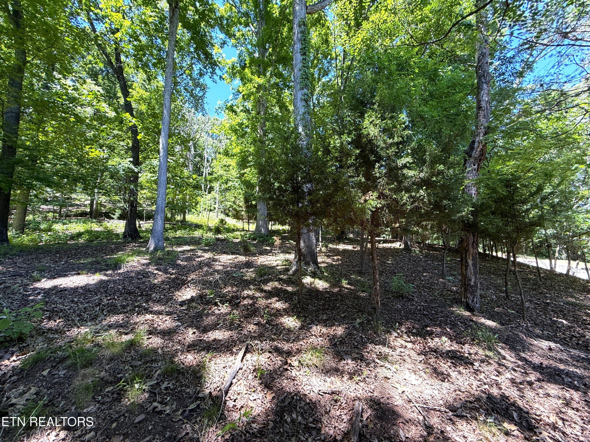 0 Harbor View Property Photo 1