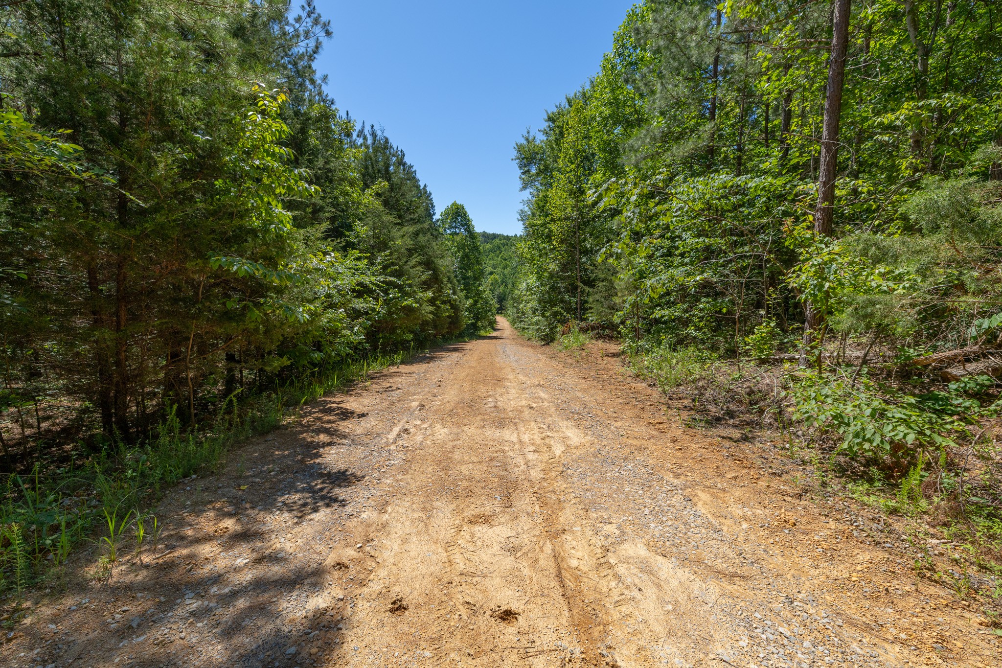 0 White Oak Rd Property Photo 3