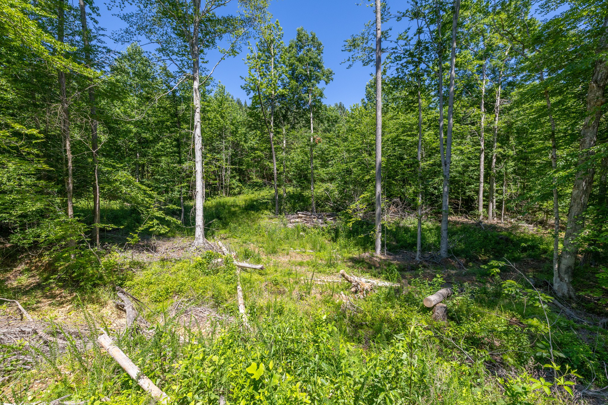 0 White Oak Rd Property Photo 8