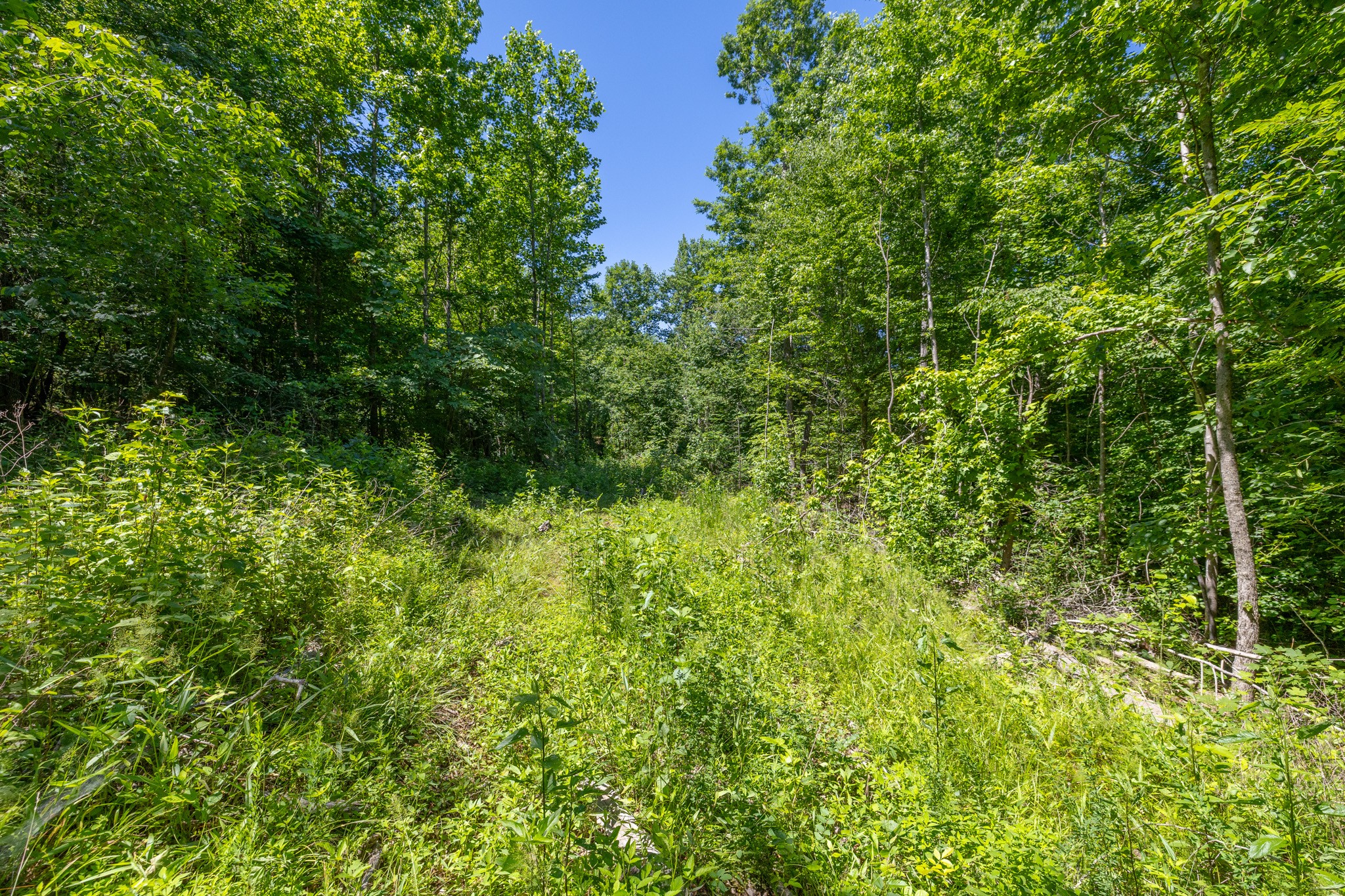 0 White Oak Rd Property Photo 10