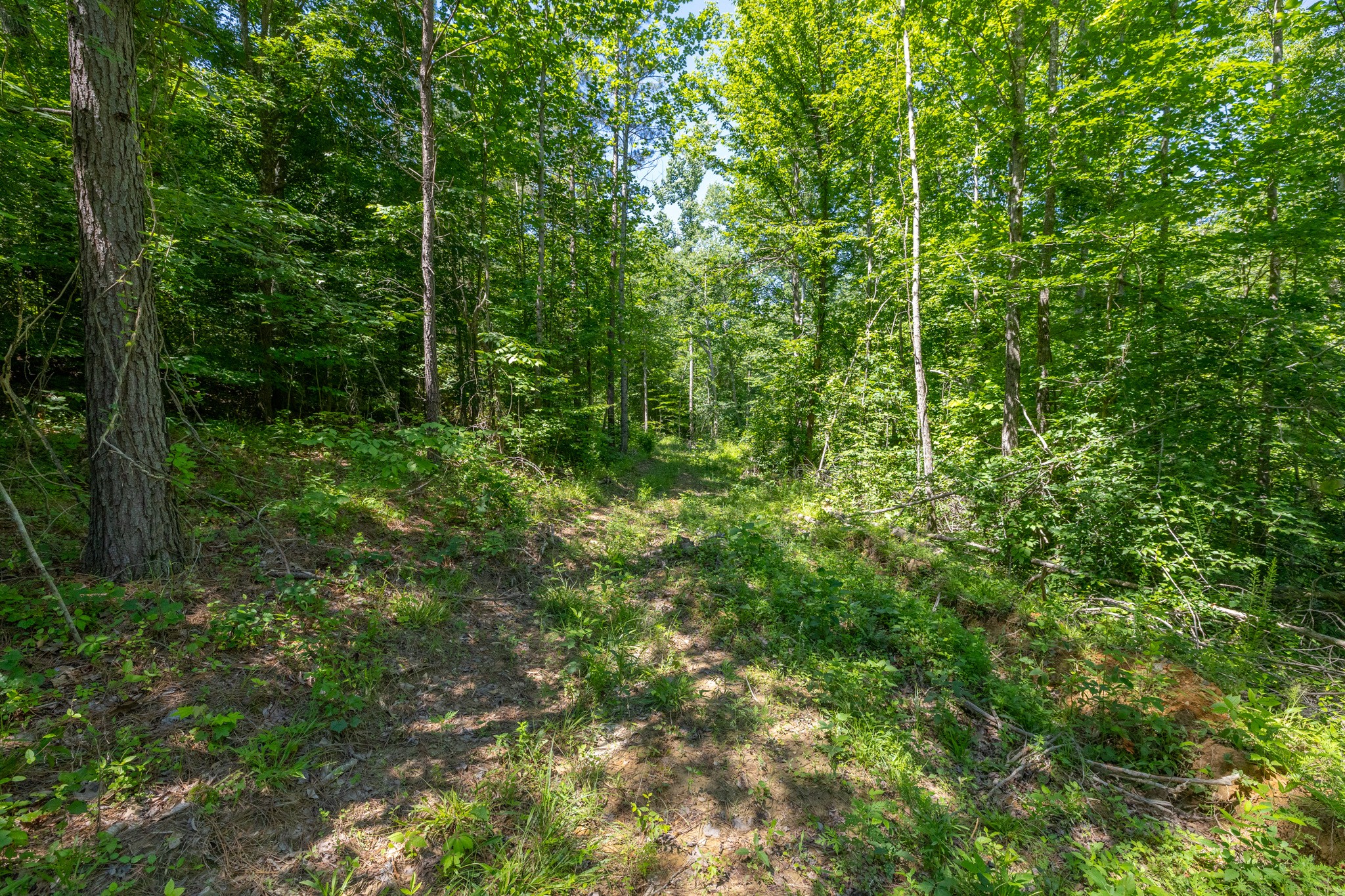 0 White Oak Rd Property Photo 11