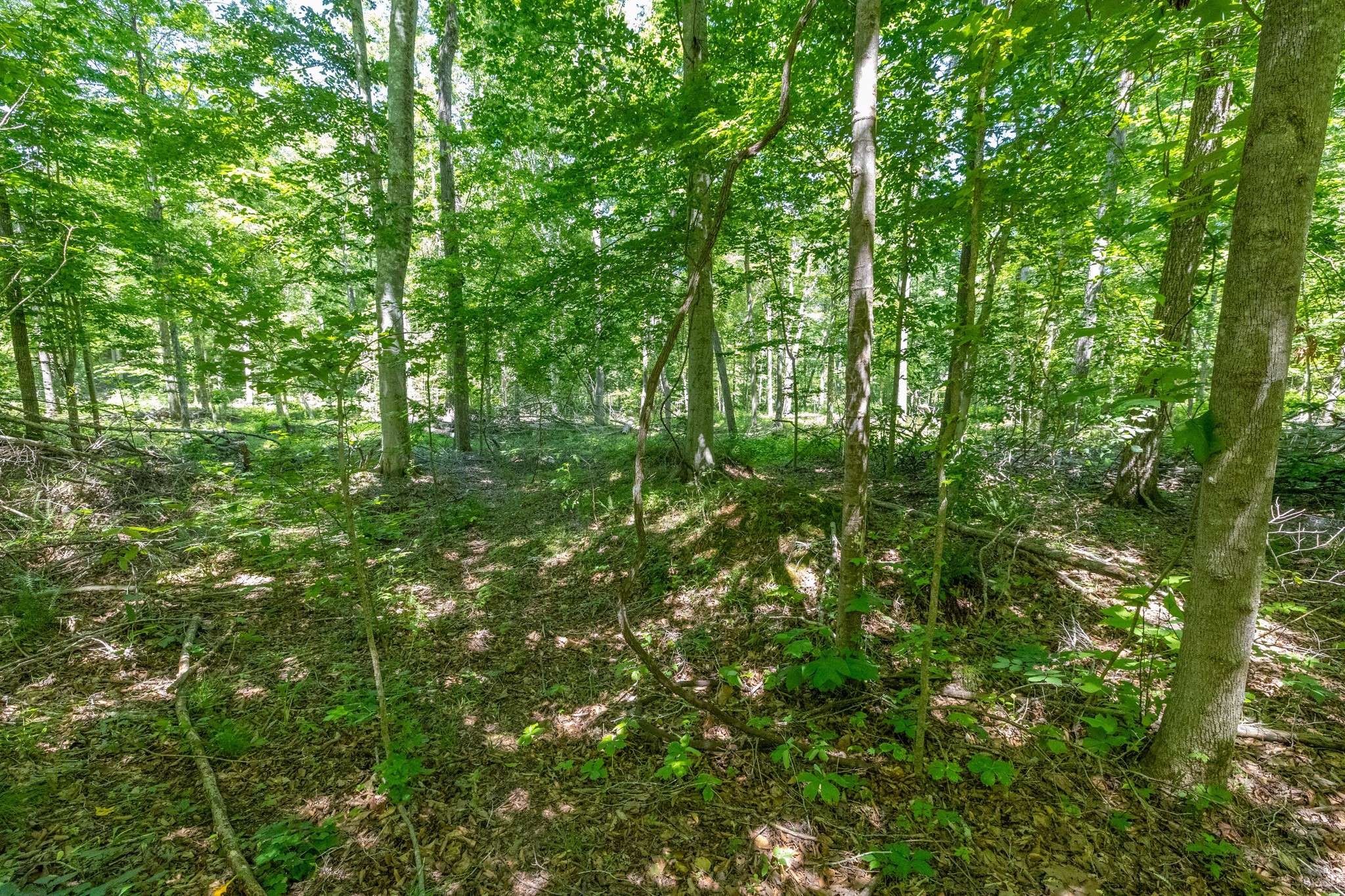 0 White Oak Rd Property Photo 12