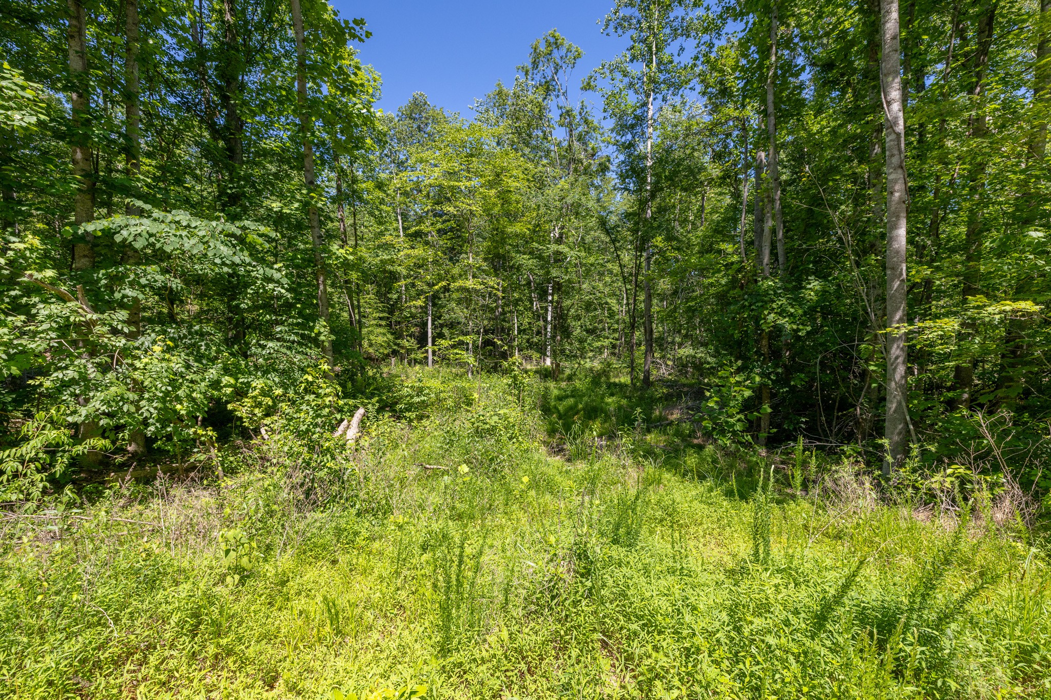 0 White Oak Rd Property Photo 13