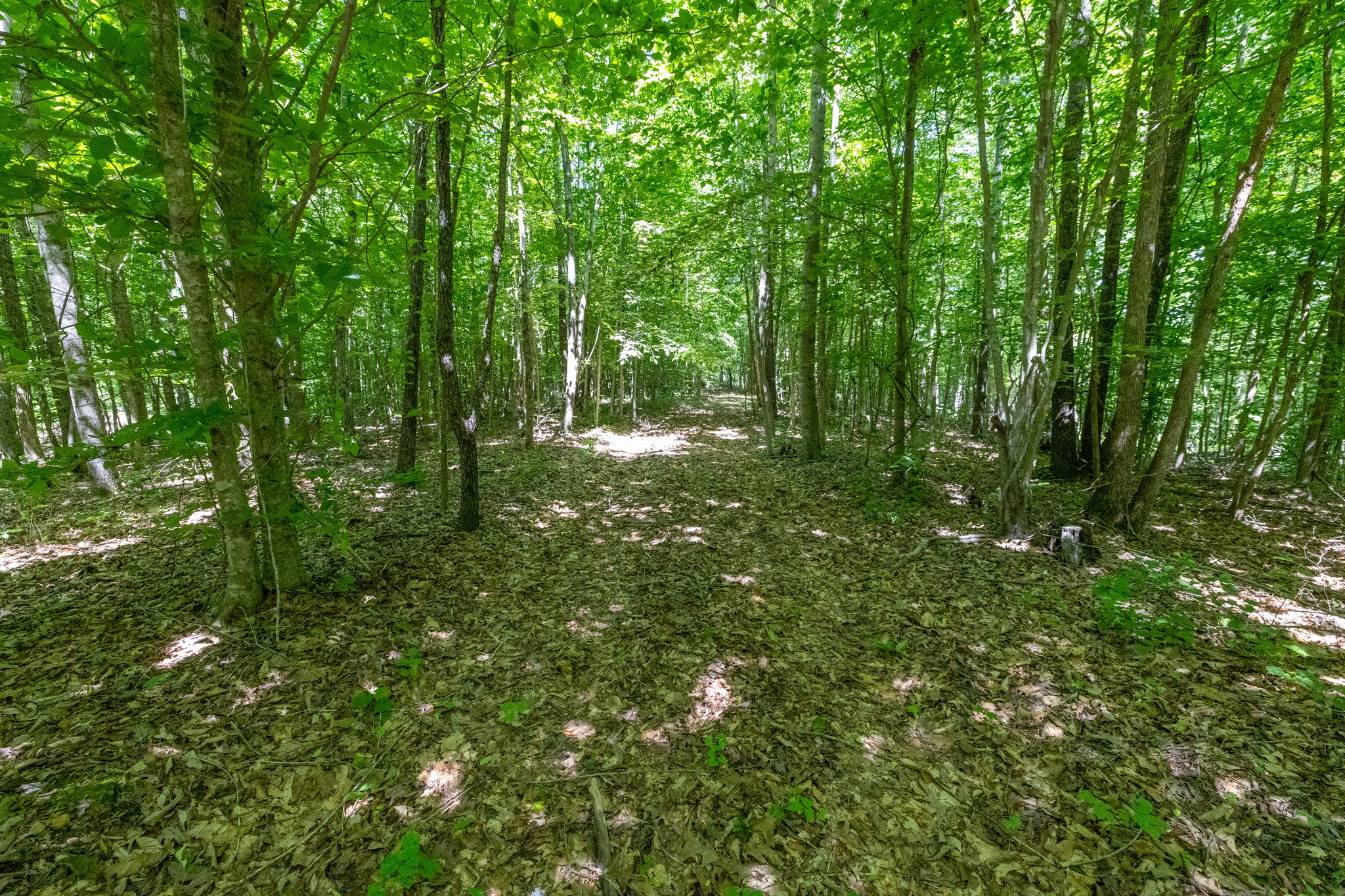 0 White Oak Rd Property Photo 15