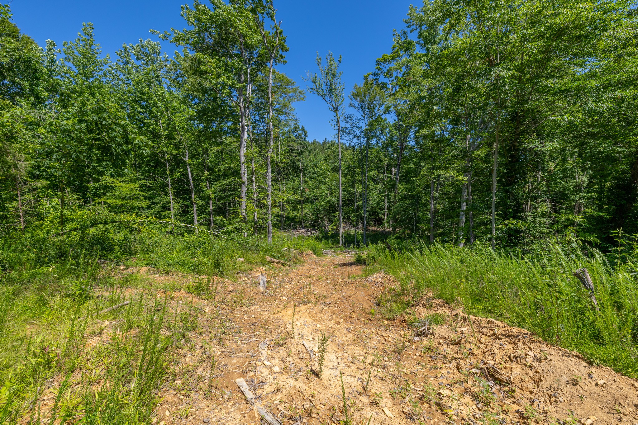 0 White Oak Rd Property Photo 19