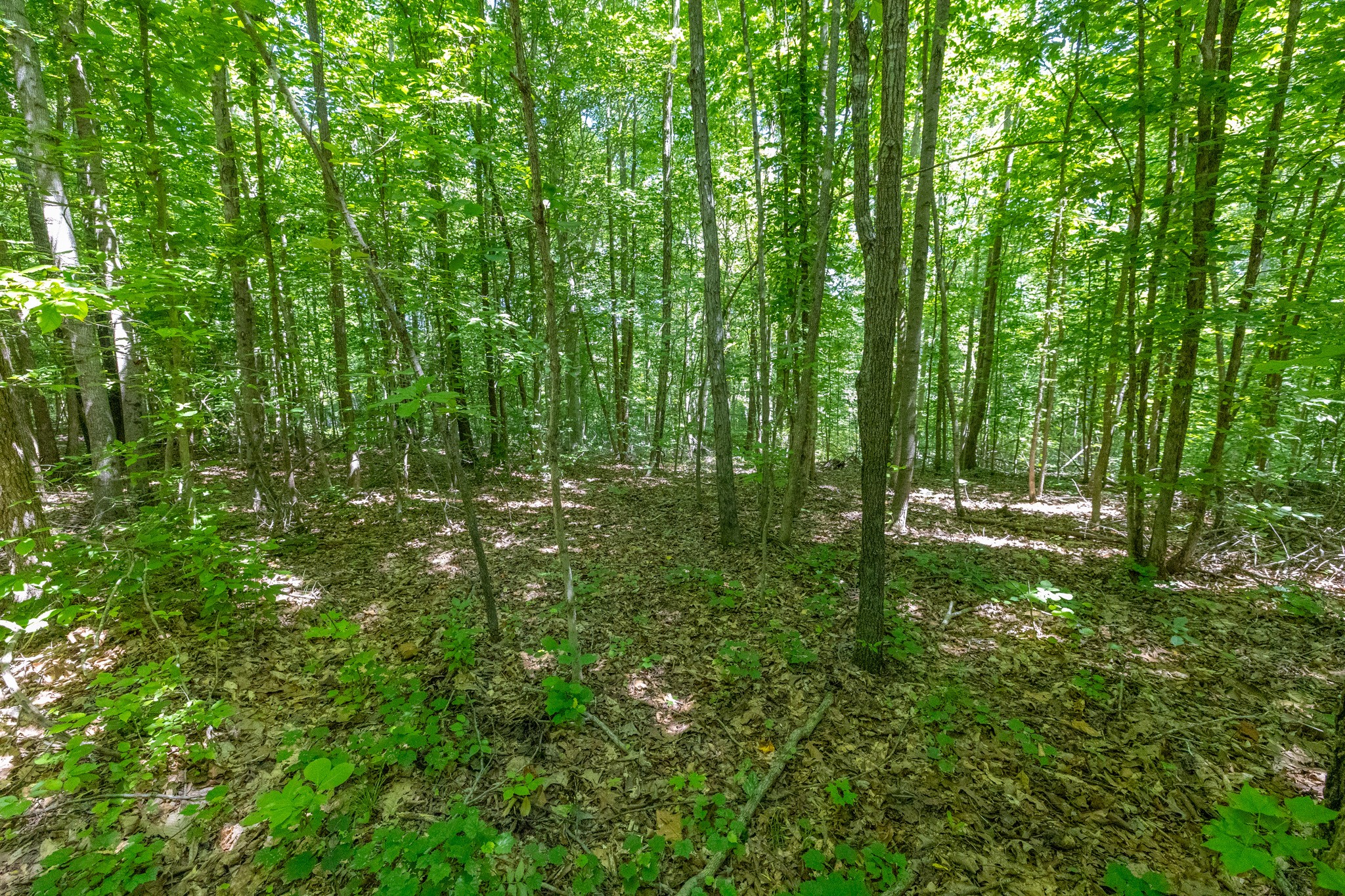 0 White Oak Rd Property Photo 22