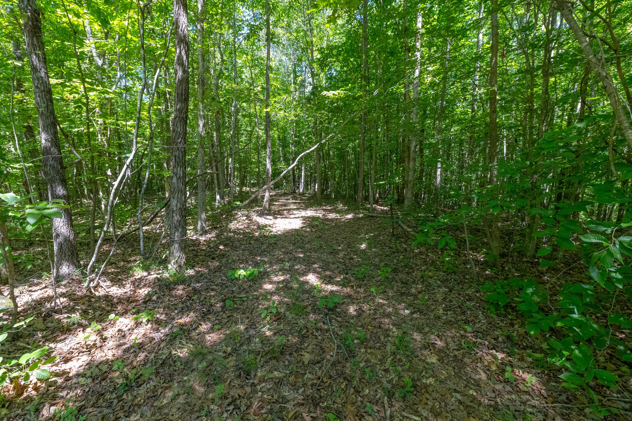 0 White Oak Rd Property Photo 27