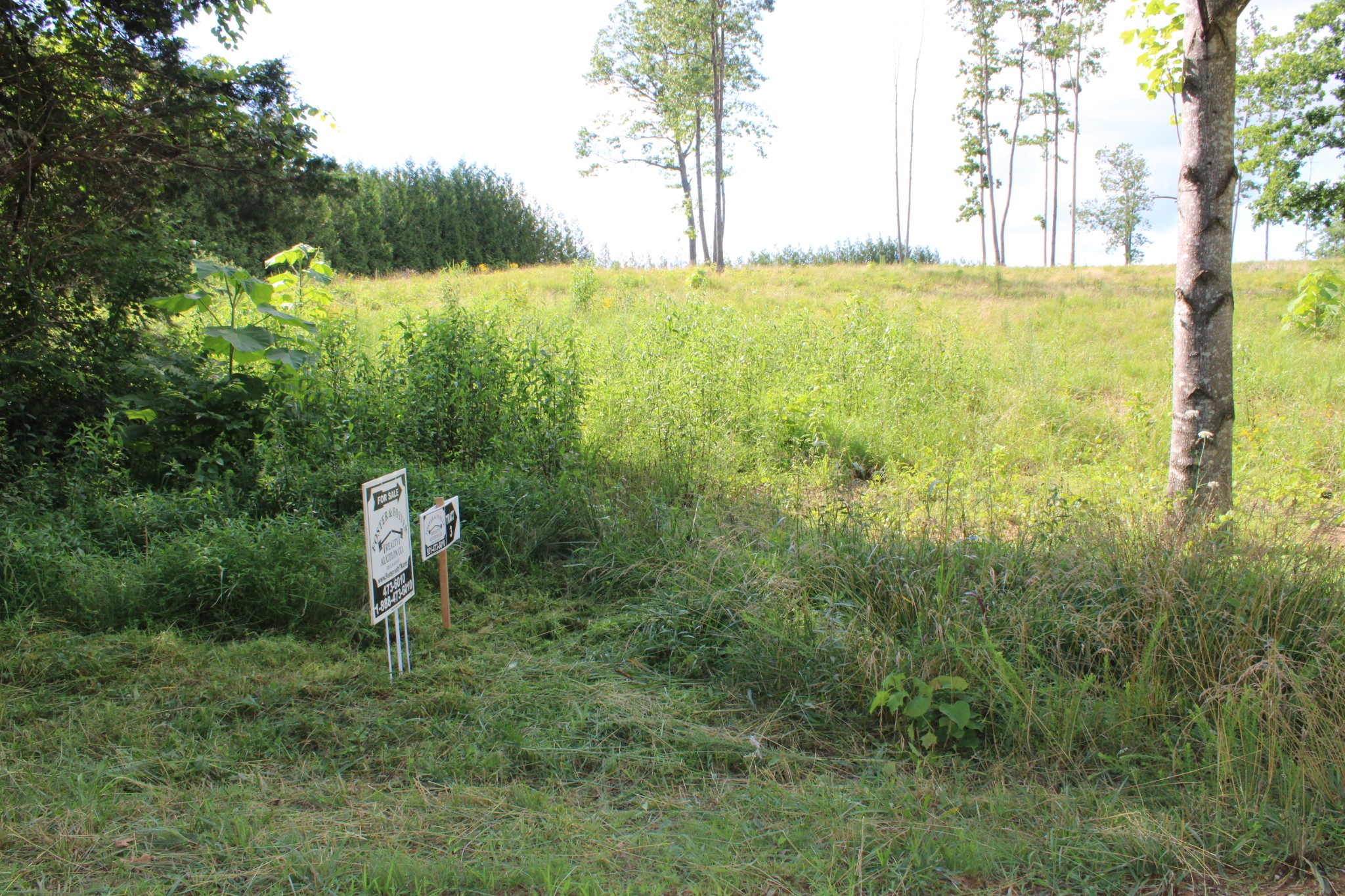 0 Long Mountain Rd Property Photo 1