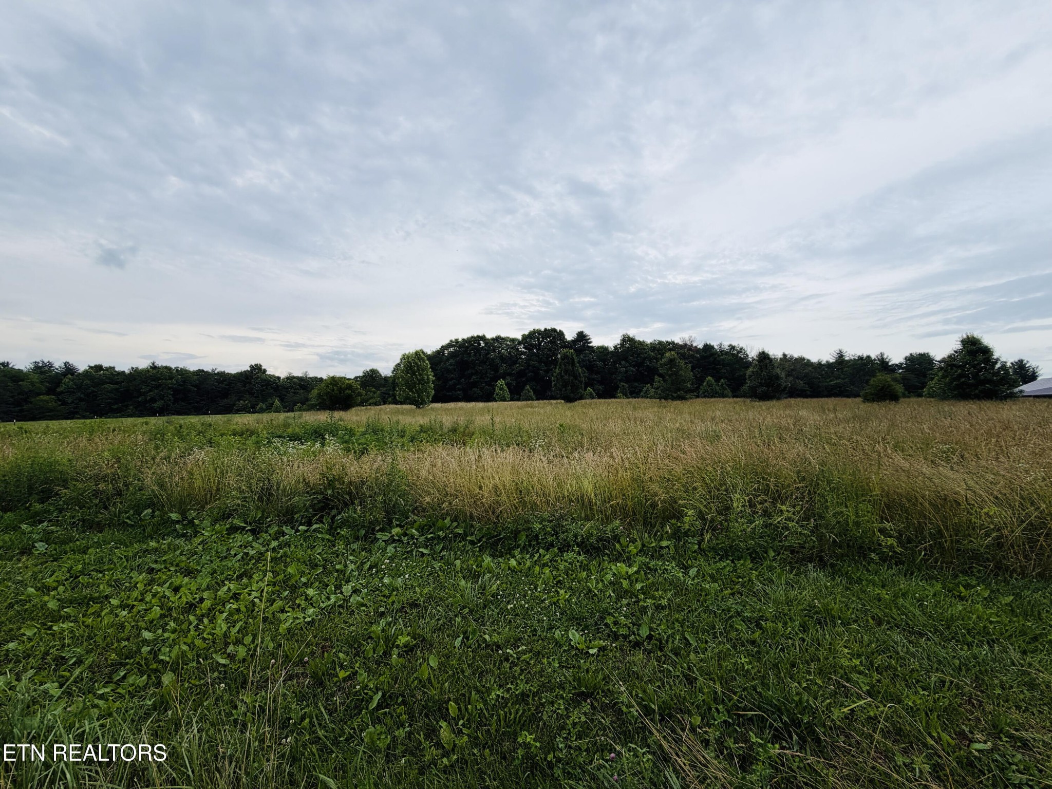 98 Tyler Tr Property Photo 2