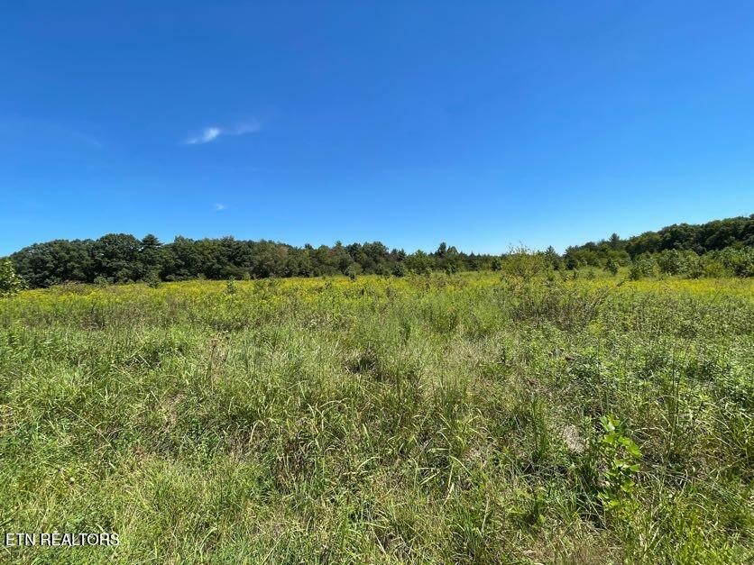 98 Tyler Tr Property Photo 6