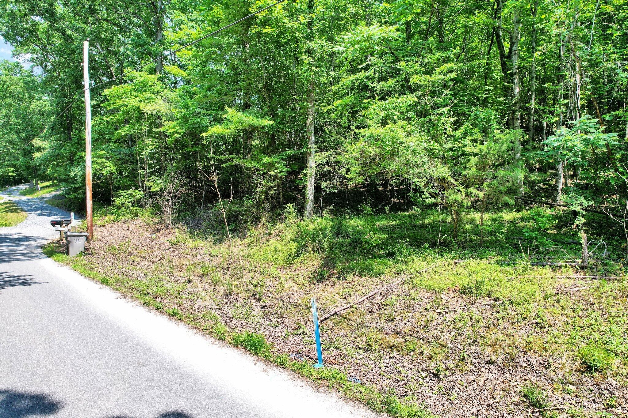 4021 Lee Pike Property Photo 2