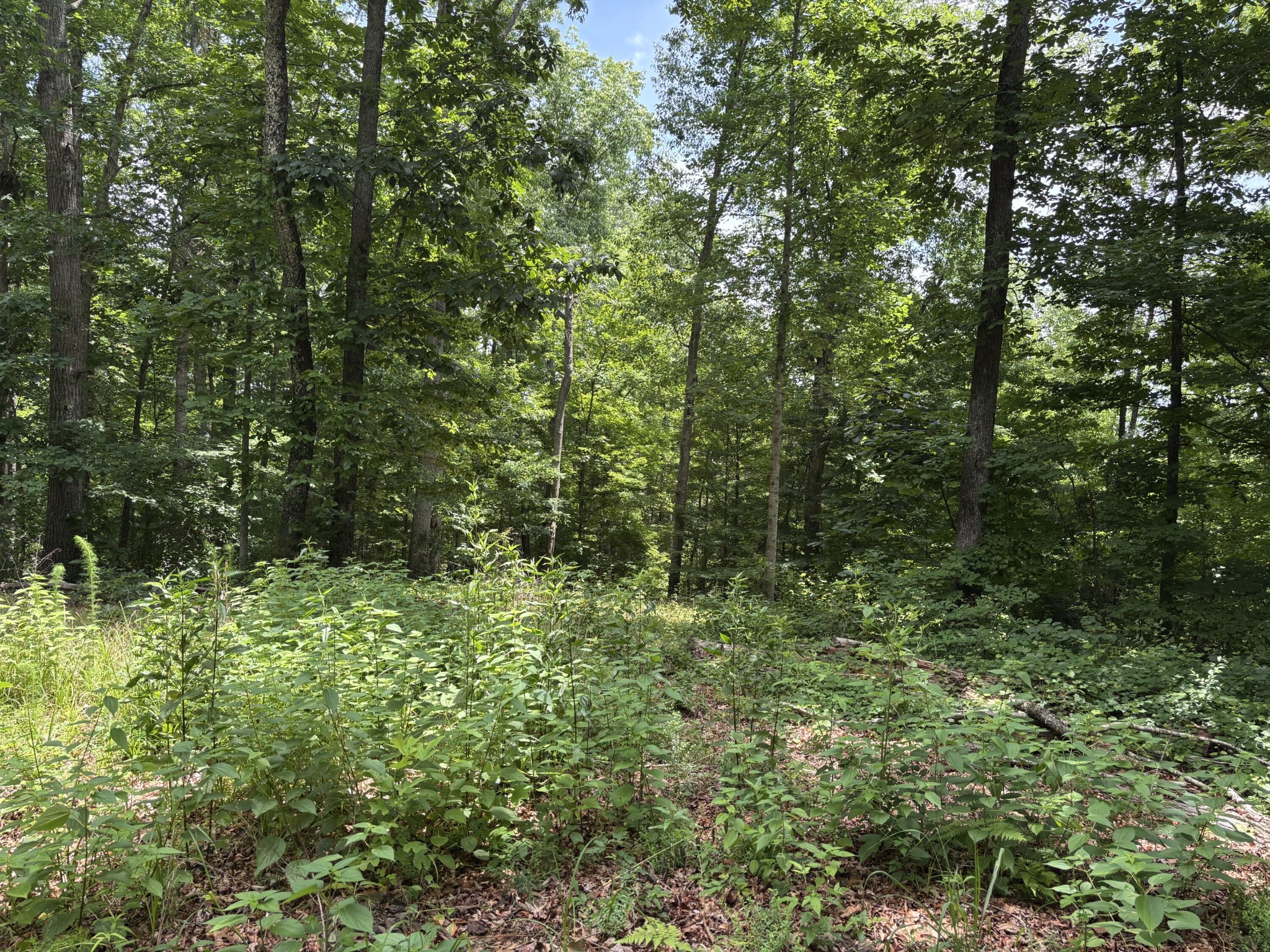 236 County Road 3 Property Photo 4