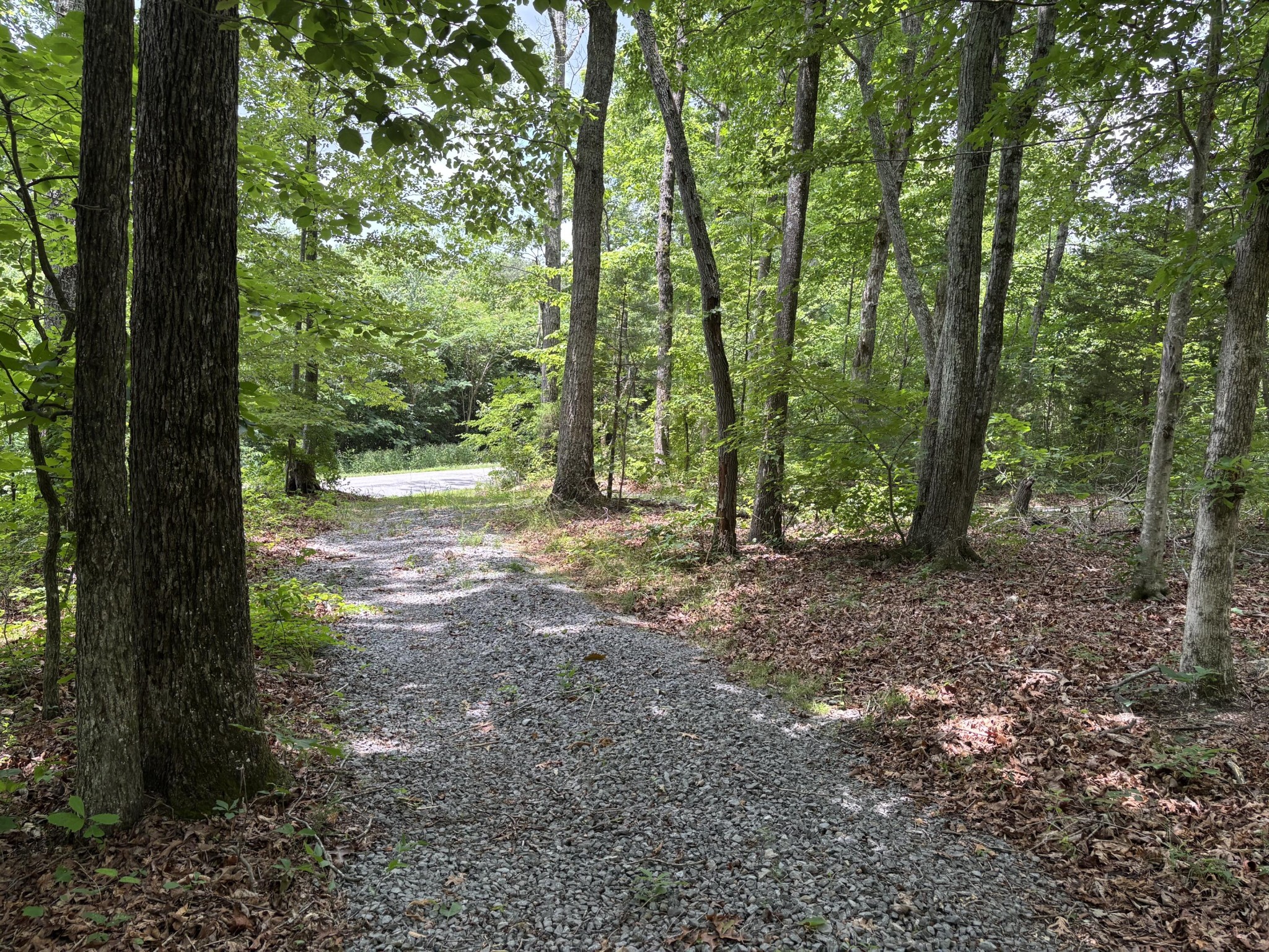 236 County Road 3 Property Photo 6
