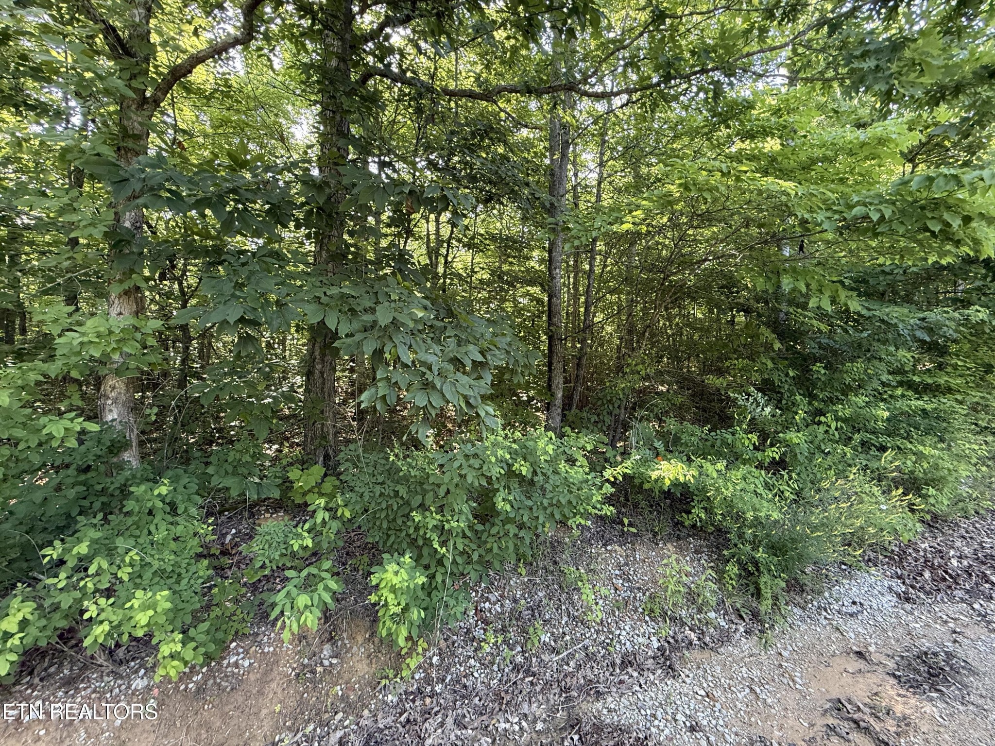 969 Lewallen Rd Property Photo 12