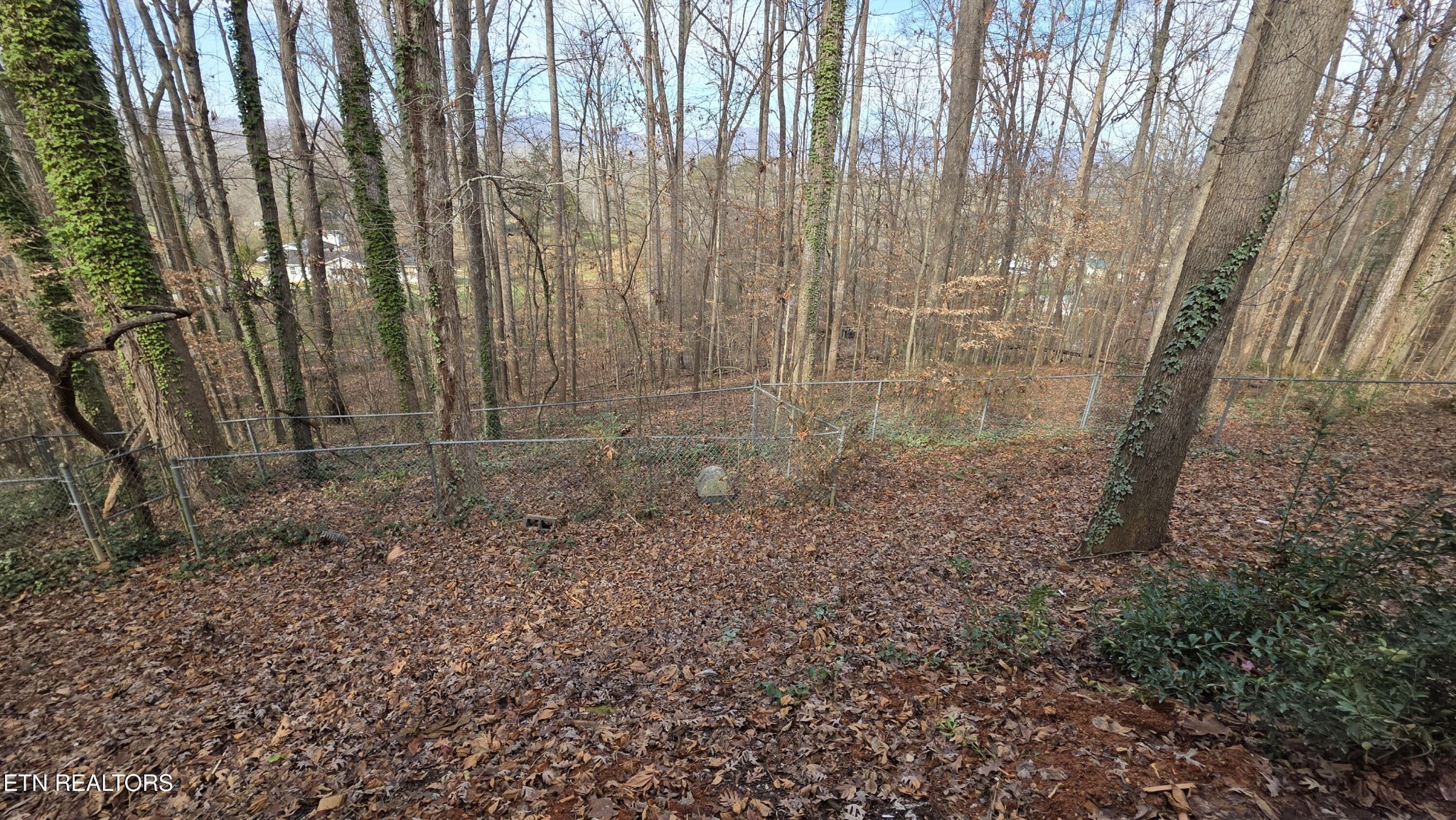 1135 W Outer Drive Property Photo 58