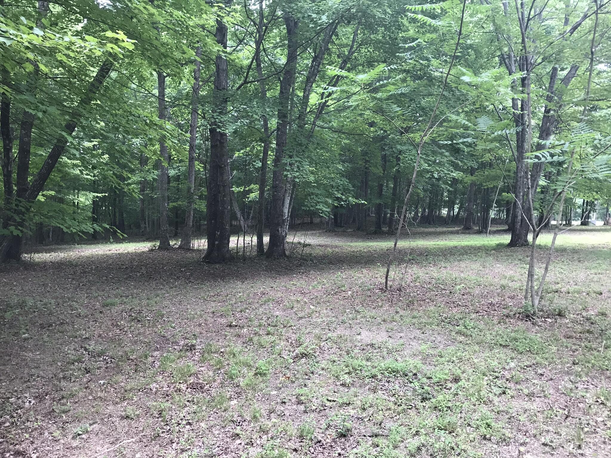 503 Wilderness Way Property Photo 2