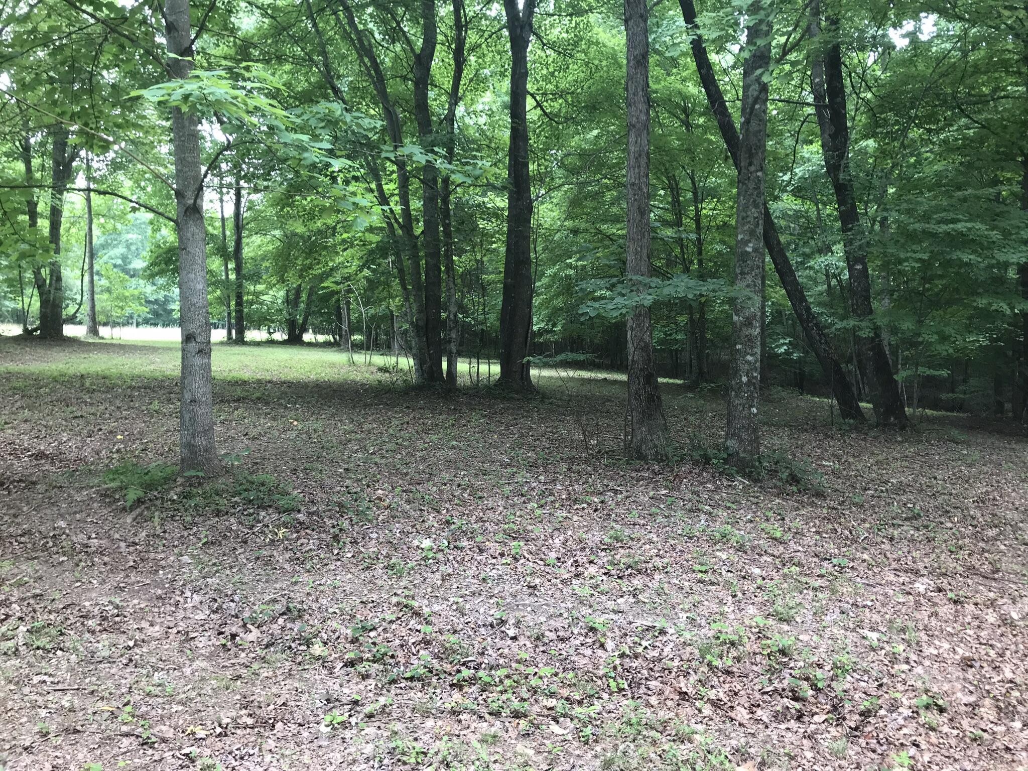 503 Wilderness Way Property Photo 3
