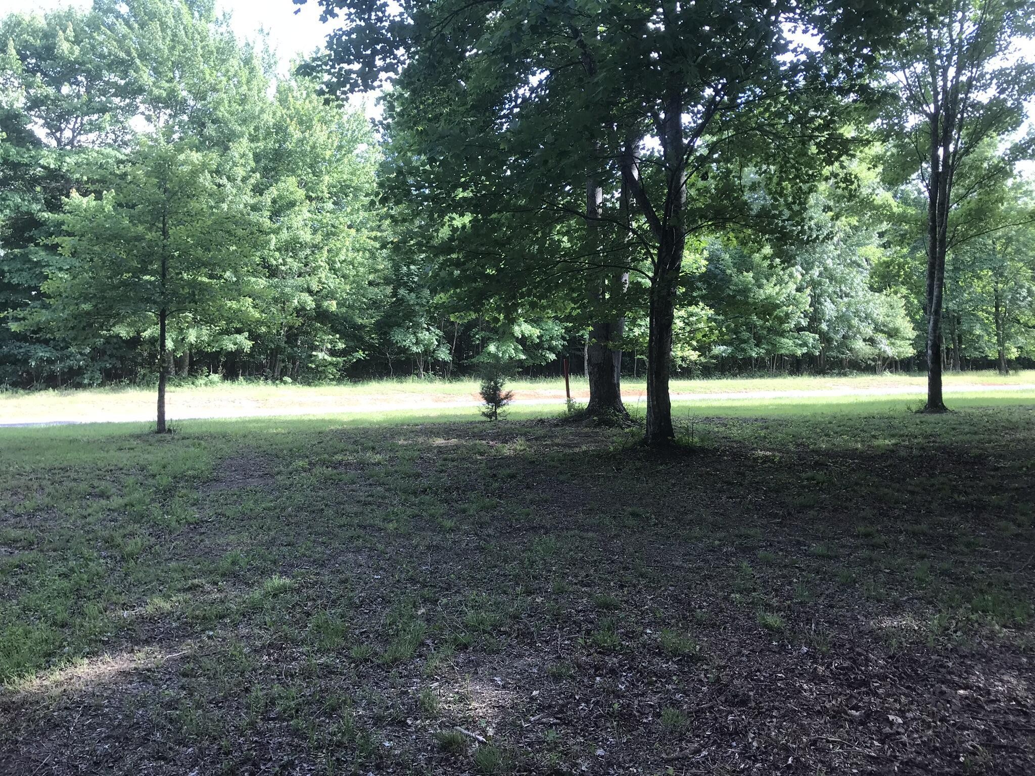 503 Wilderness Way Property Photo 6