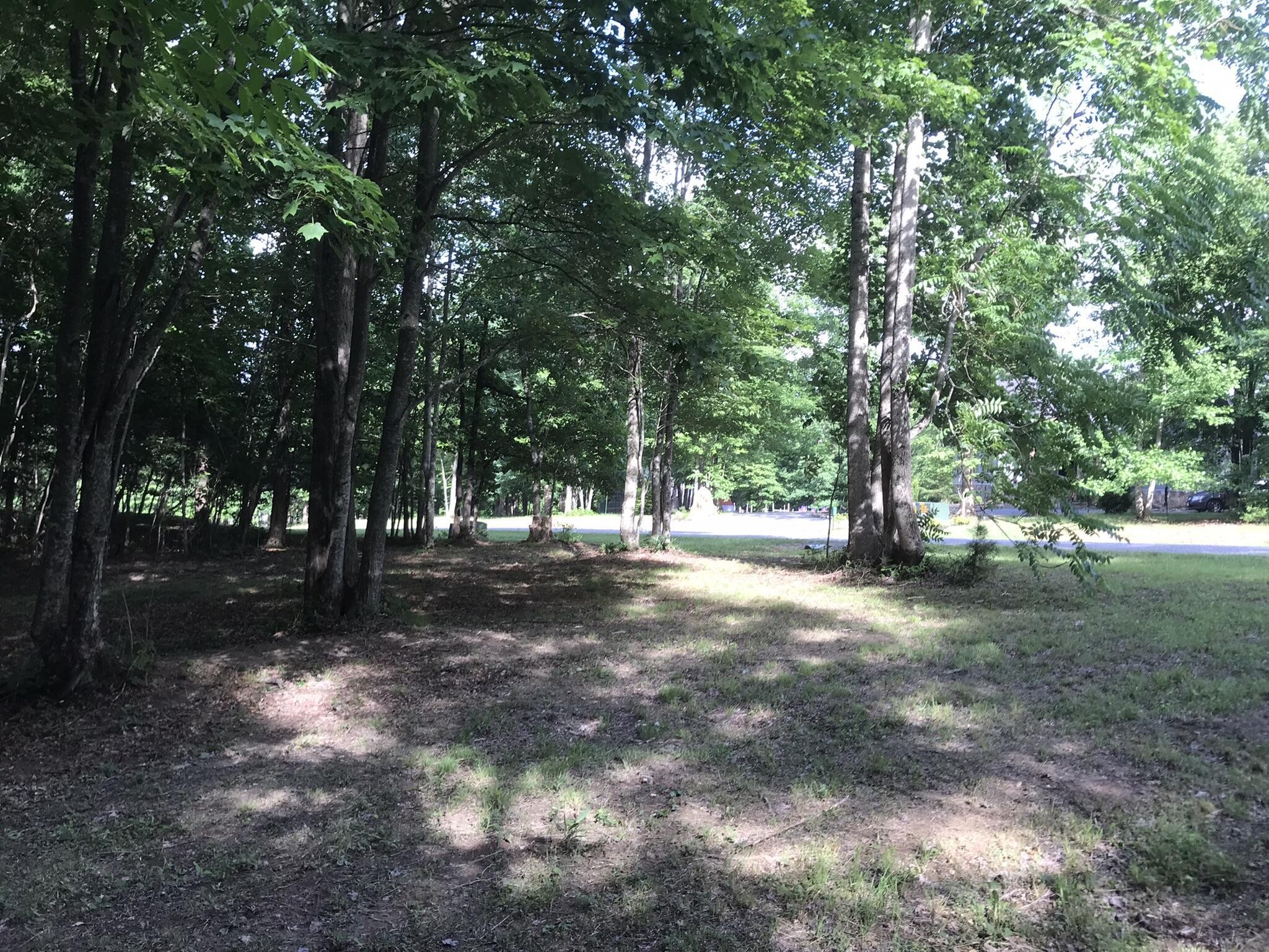 503 Wilderness Way Property Photo 7
