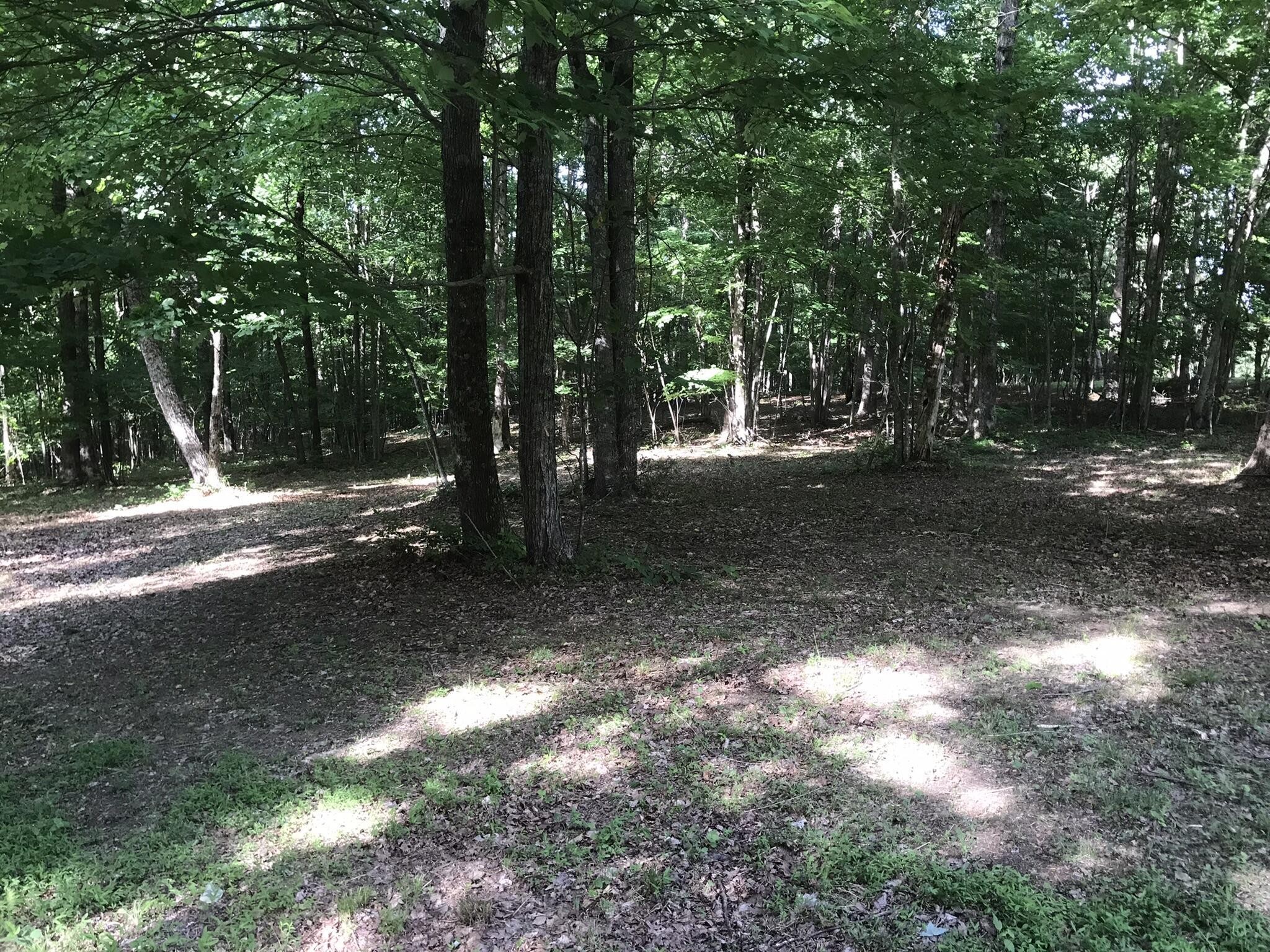 503 Wilderness Way Property Photo 11
