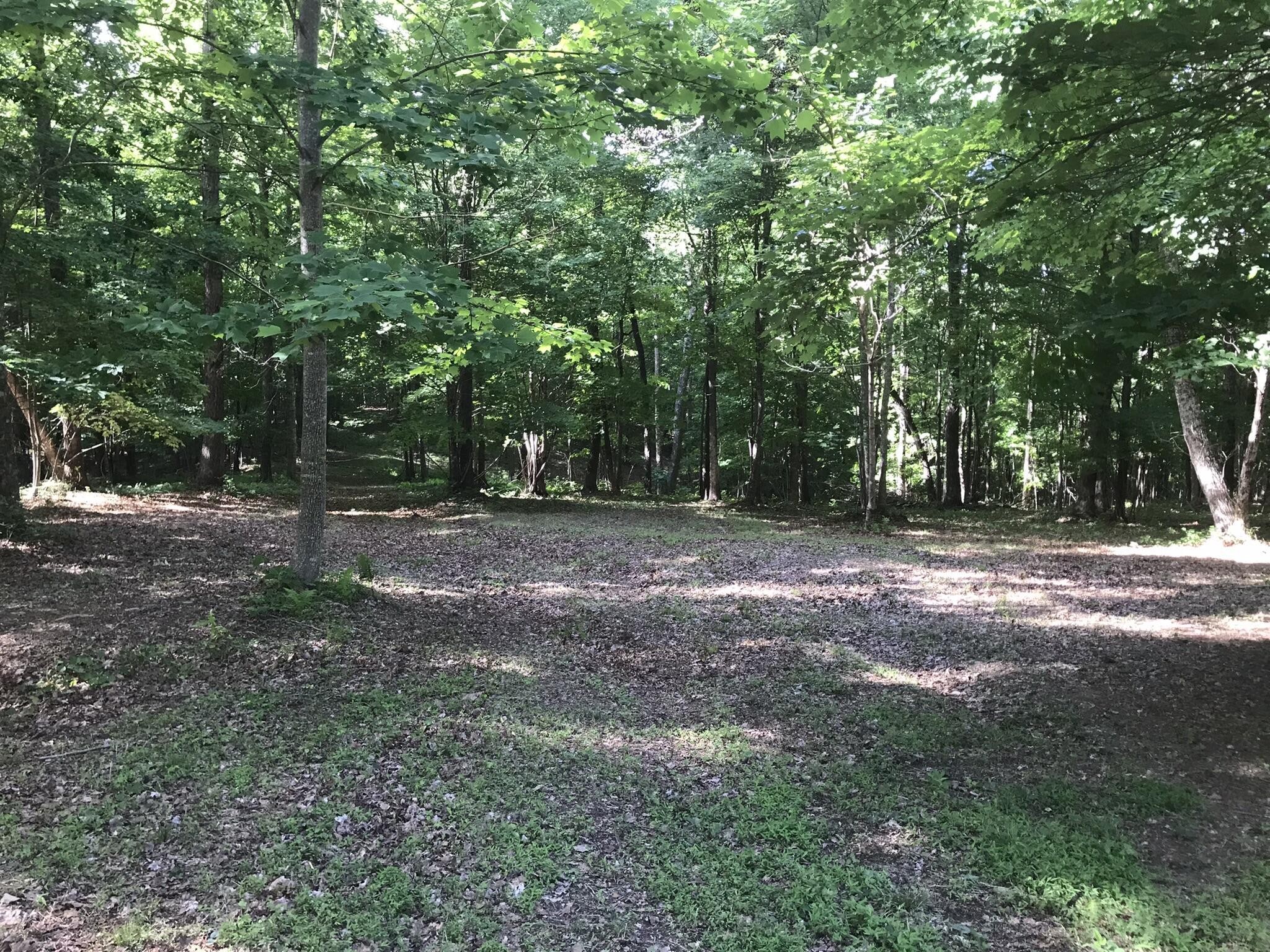 503 Wilderness Way Property Photo 14