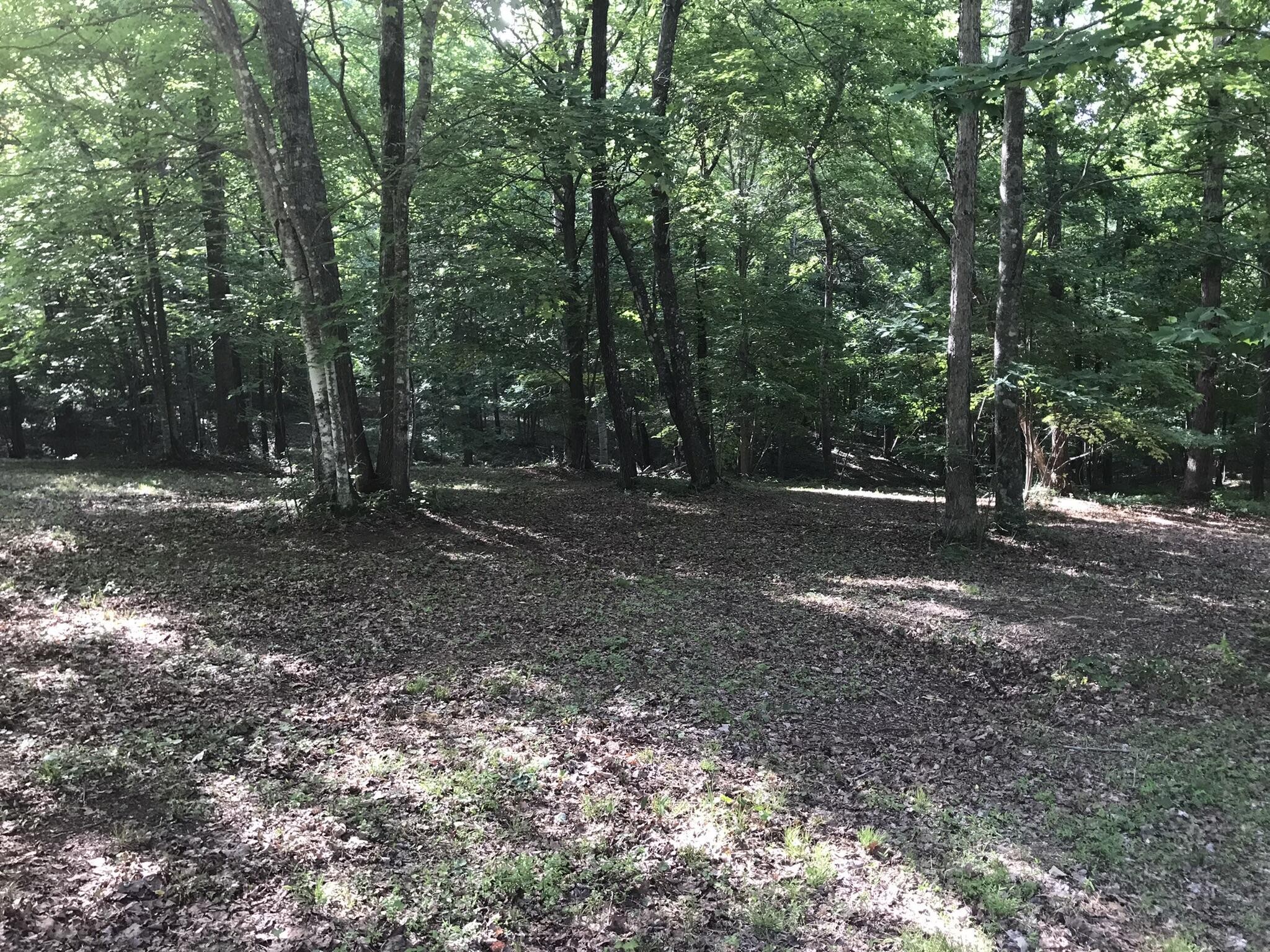 503 Wilderness Way Property Photo 15