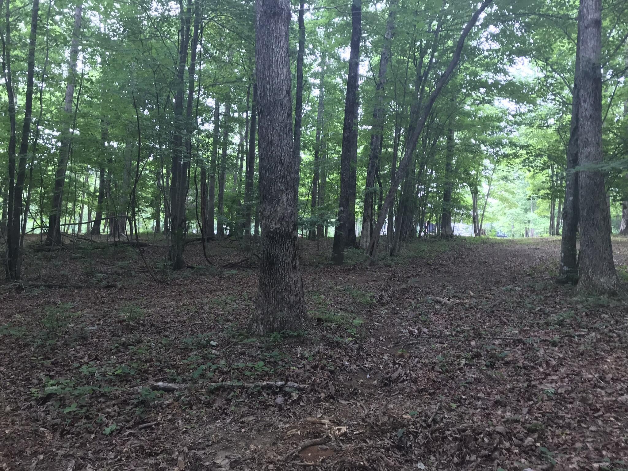 503 Wilderness Way Property Photo 20