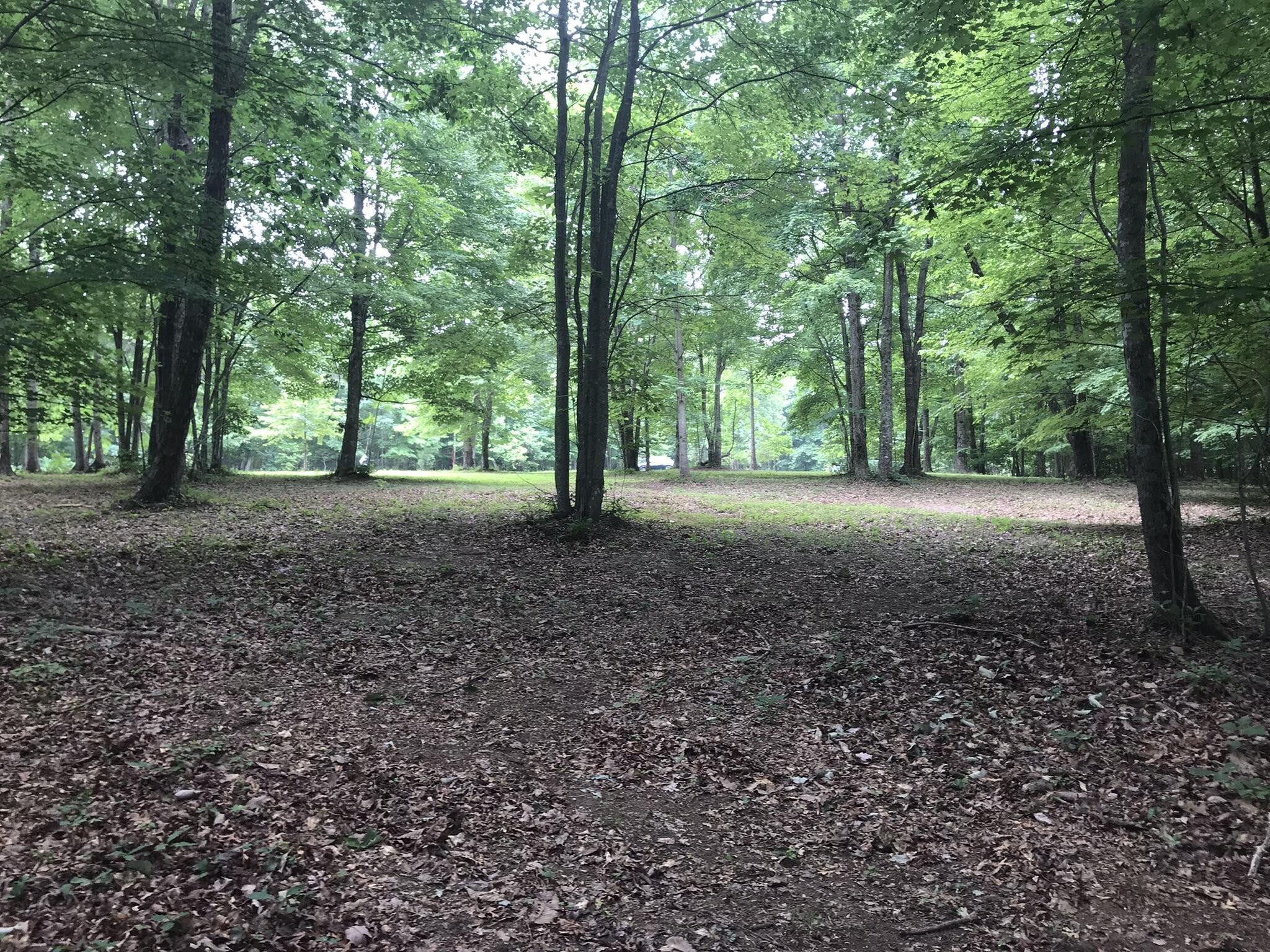 503 Wilderness Way Property Photo 21