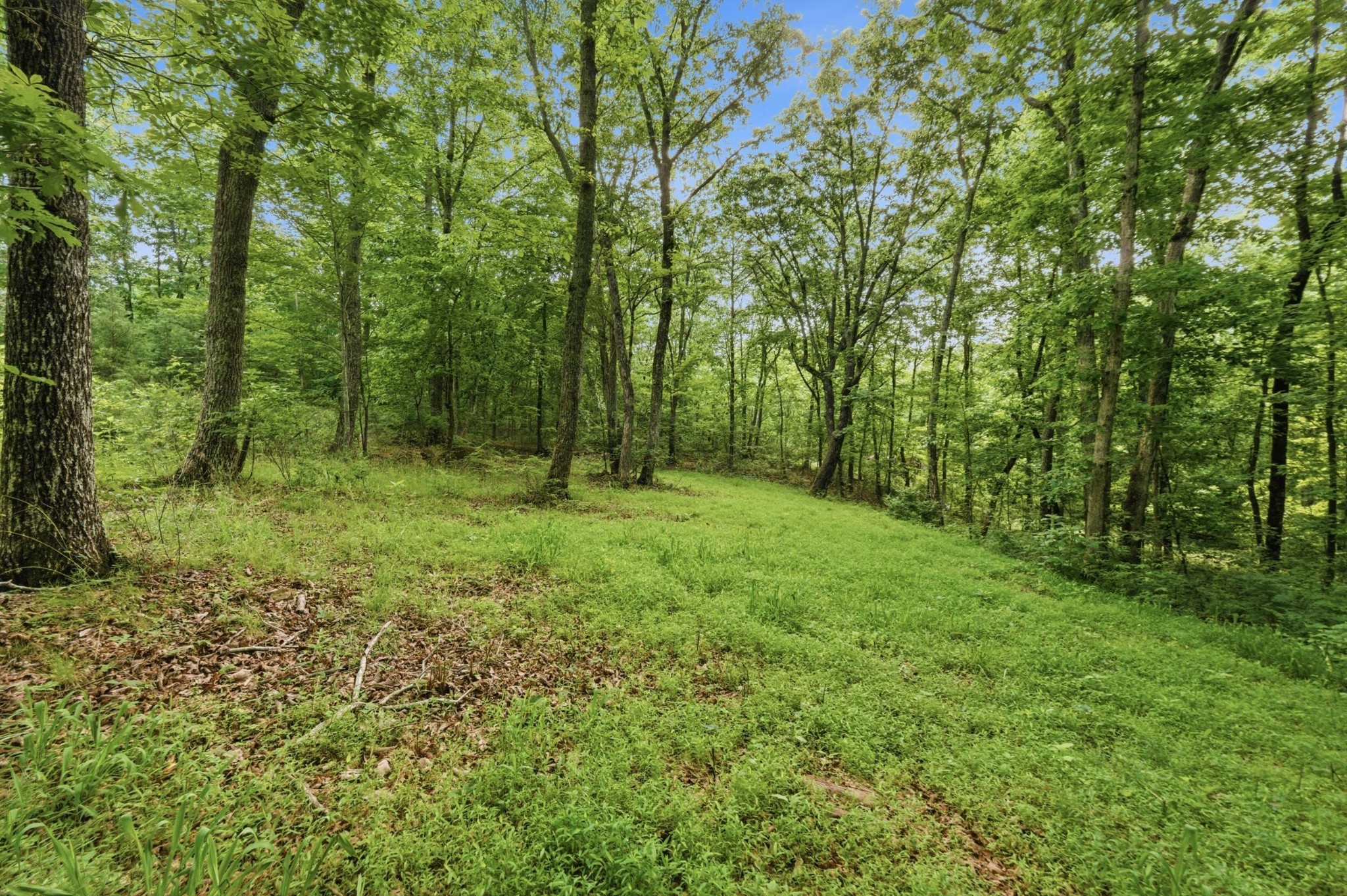 739 S Moore Road Property Photo 20