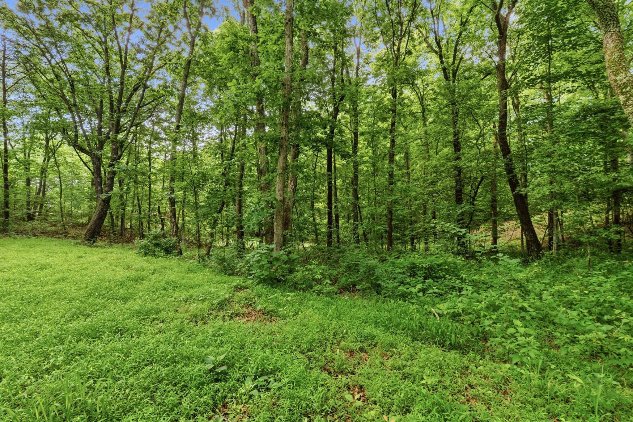 739 S Moore Road Property Photo 22